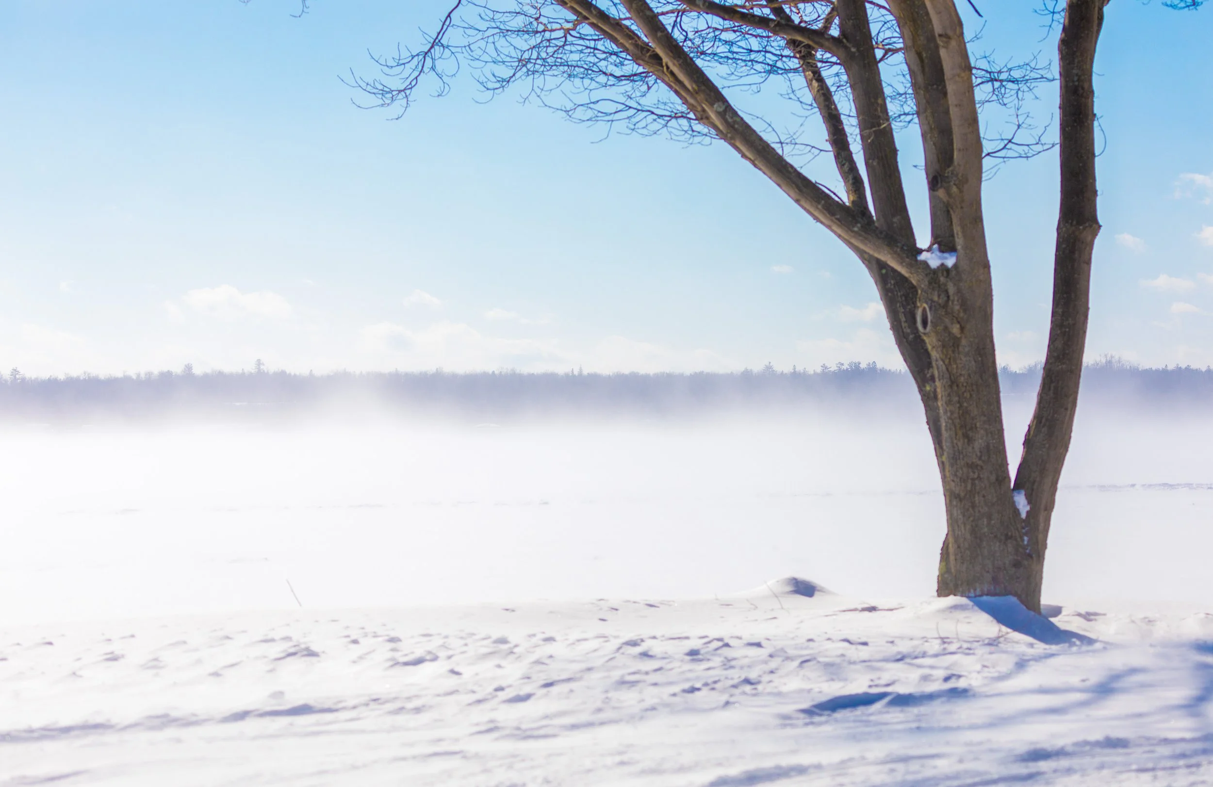 Brimley, MI (Upper Peninsula) Snow on the Bay 51 