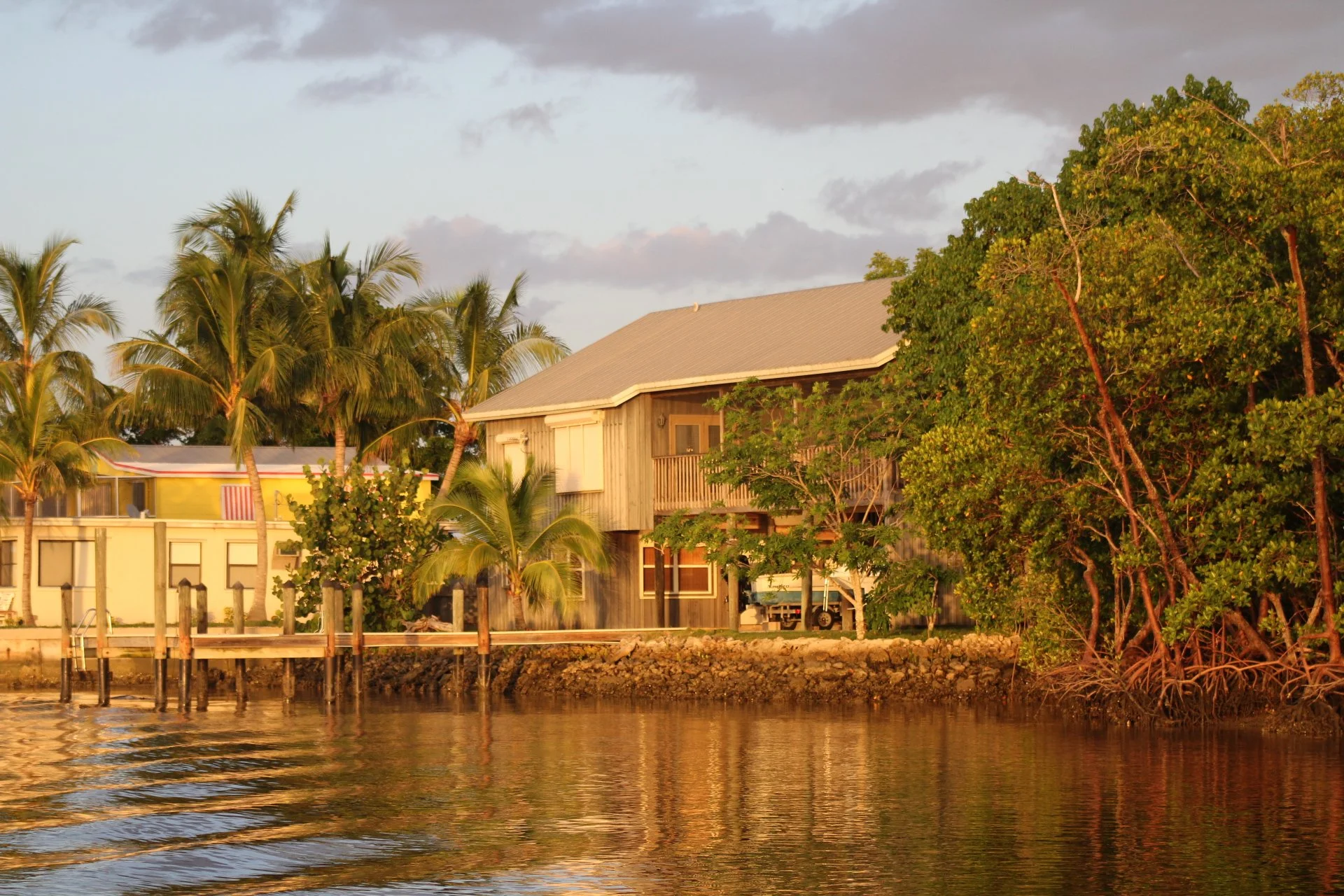 Residential houses with palm trees along the water during sunset.
