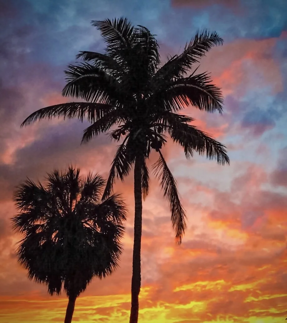 Goodland, FL Palm Tree Sunset 11