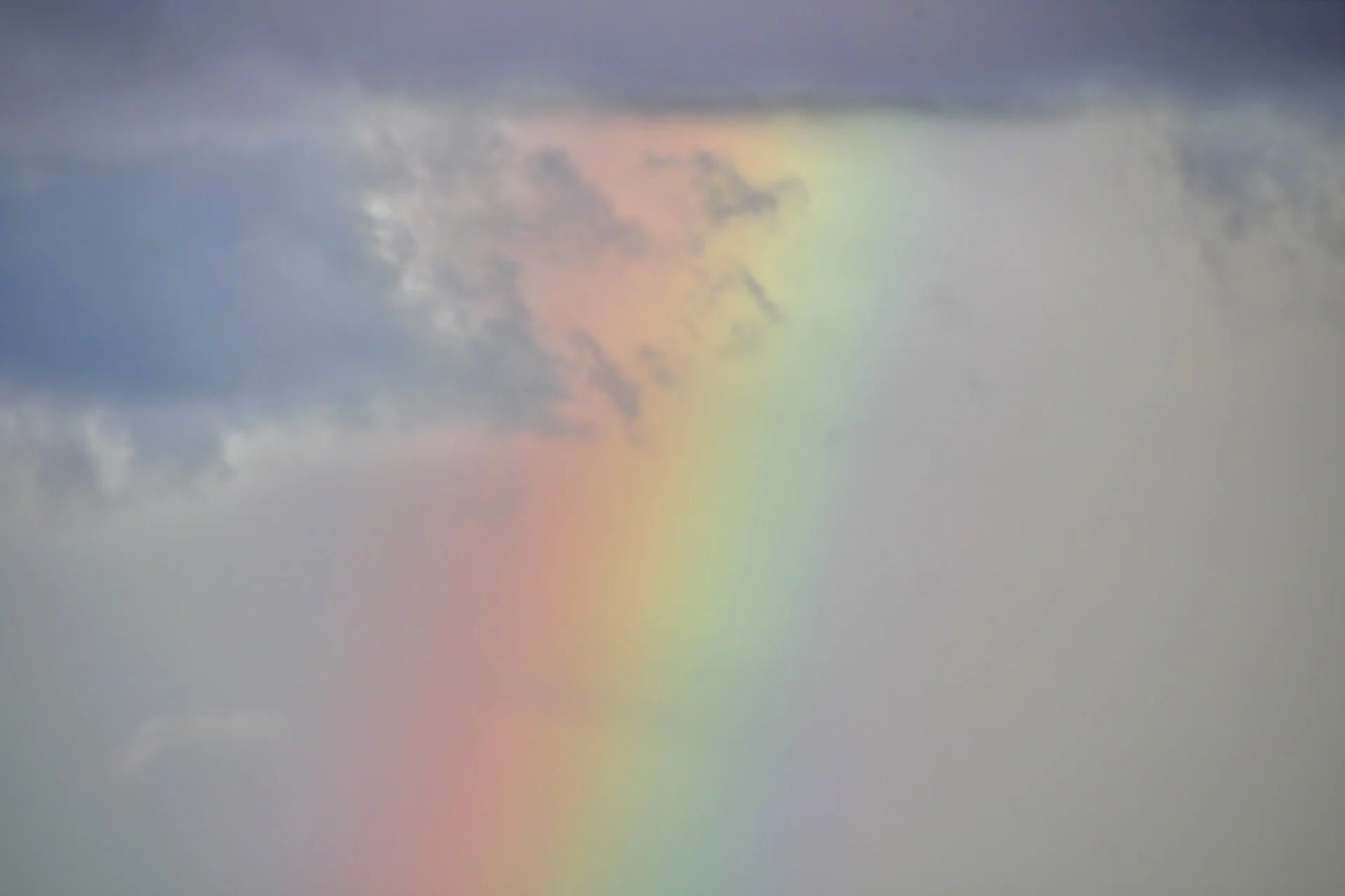 Rainbow 43