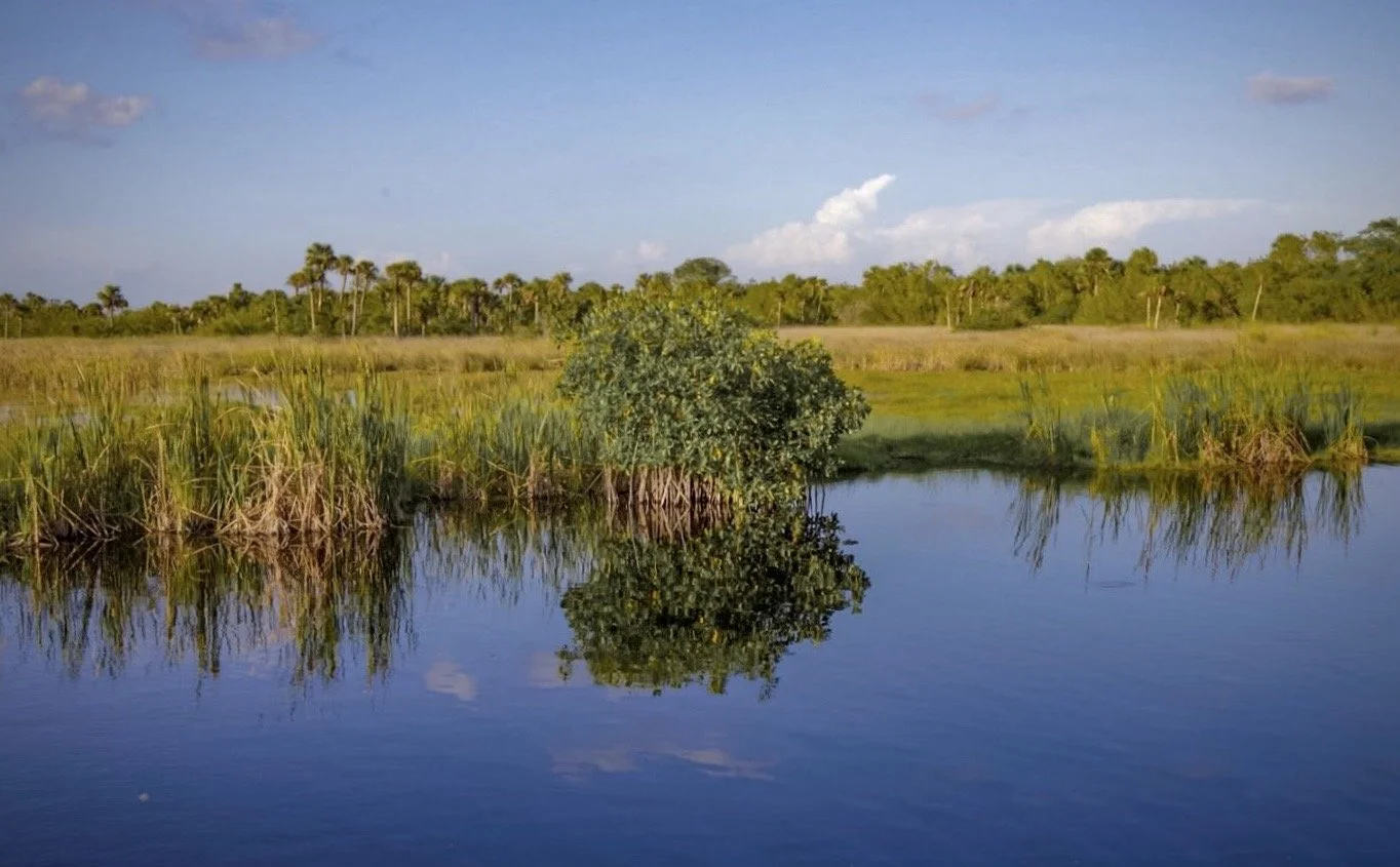 Florida Everglades 63