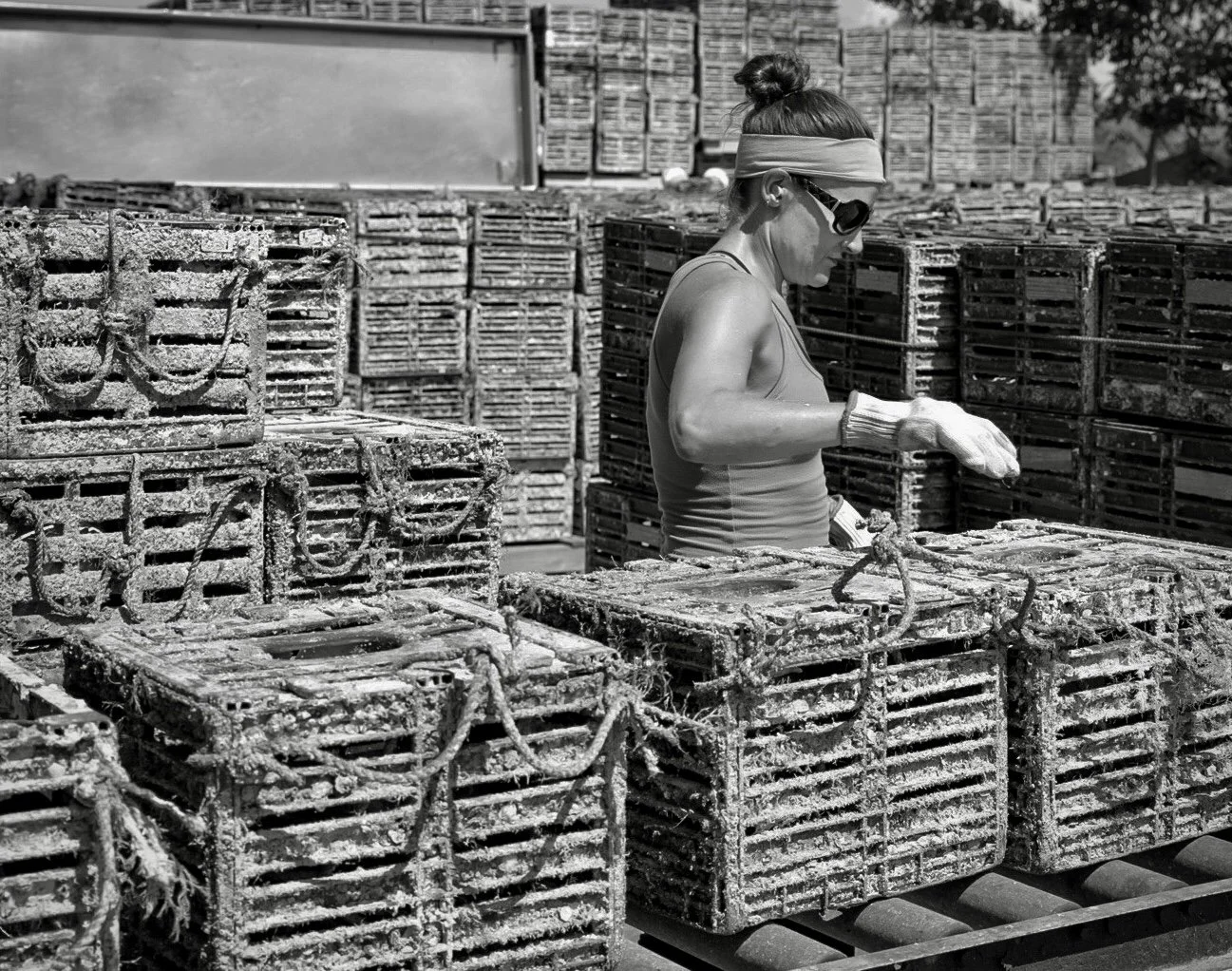 A woman wearing sunglasses, a headband, and gloves working outdoors among stacks of crustacean traps.