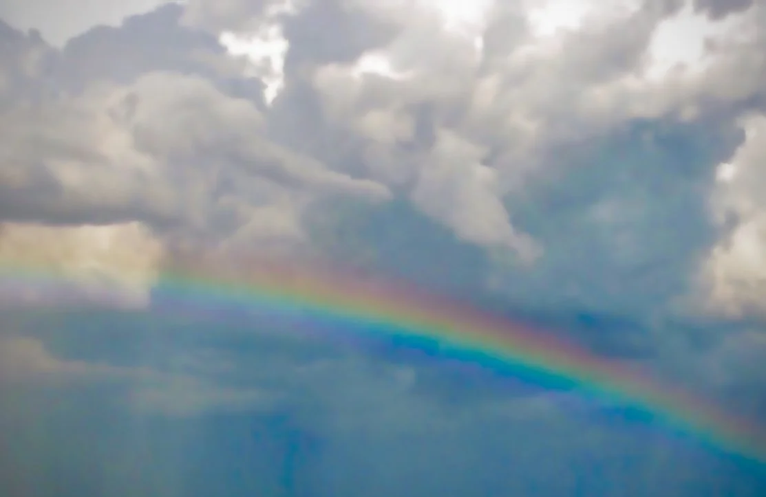 Rainbow 51