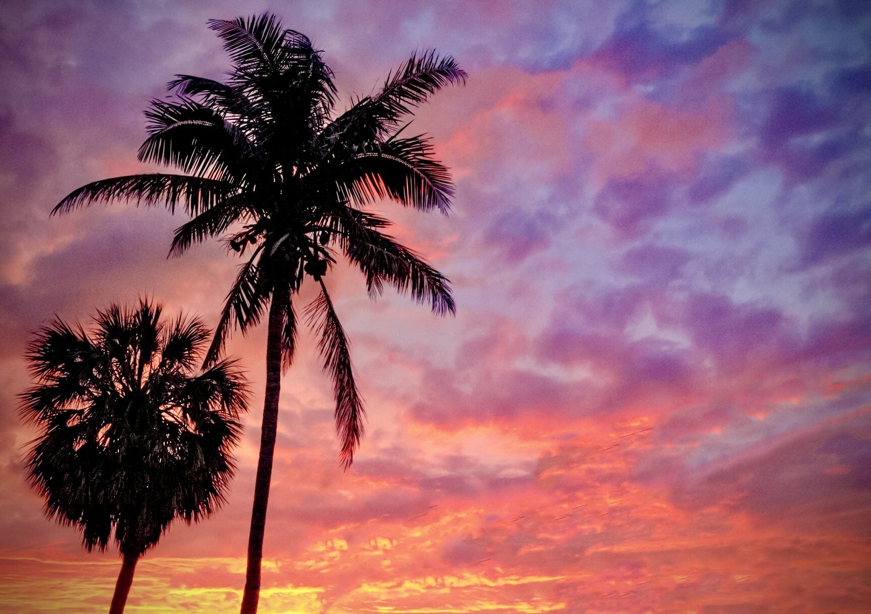 Silhouettes of palm trees against a colorful sunset sky with pink, purple, and orange hues and scattered clouds.