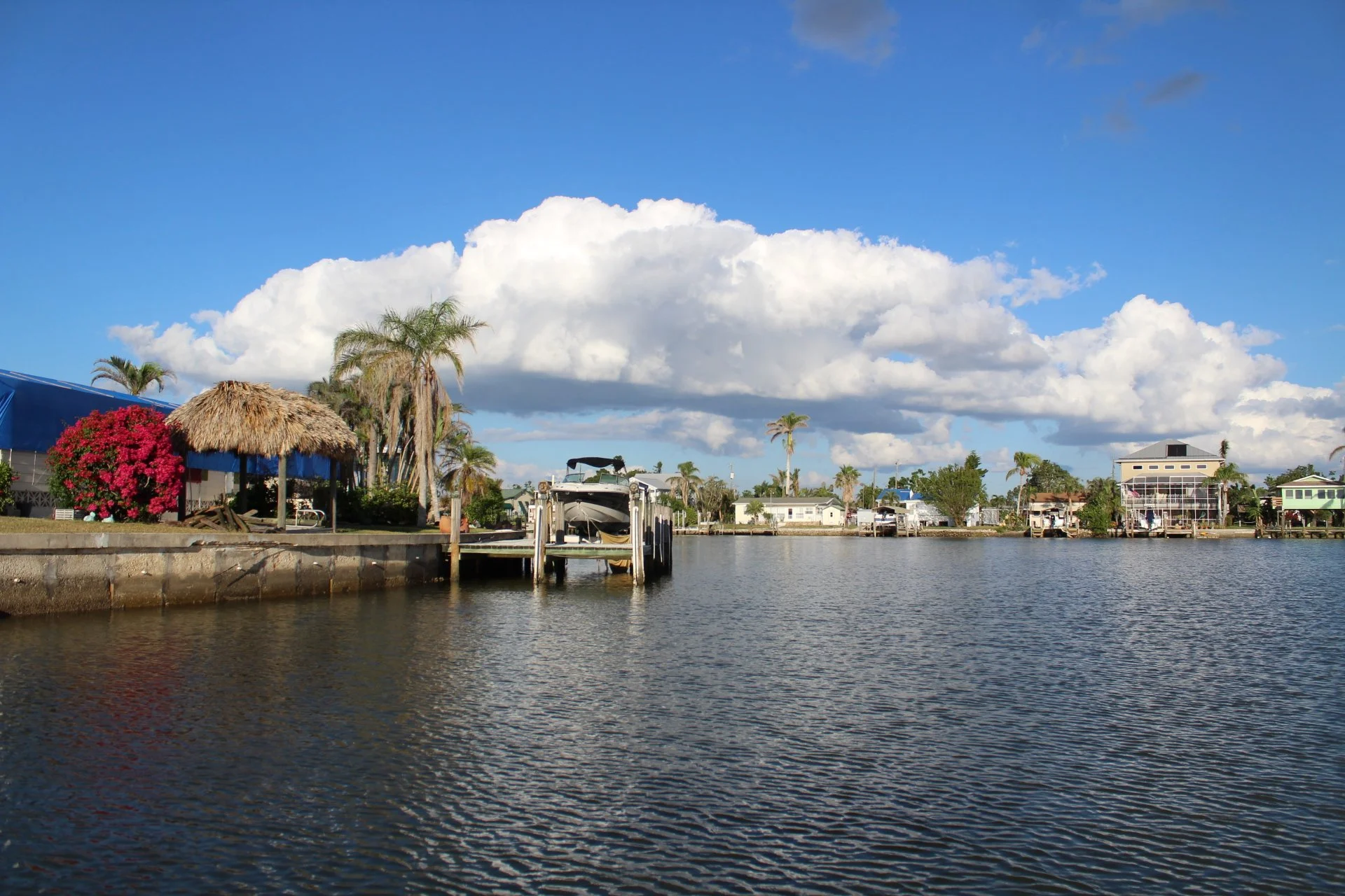 A waterfront scene with houses, palm trees, a boat dock, and a clear blue sky with white clouds.