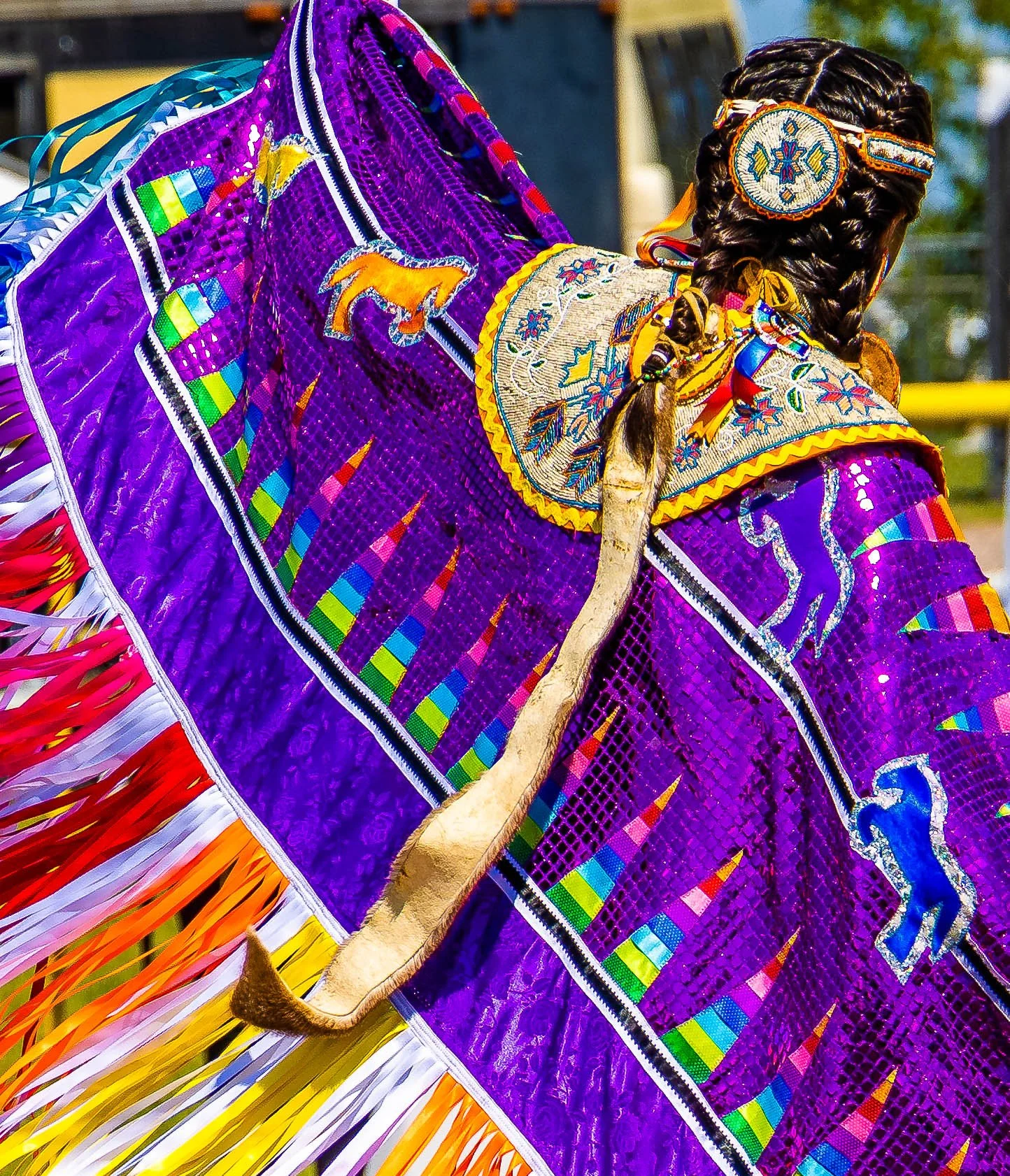 Close-up of a person dressed in traditional Native American regalia with a purple and multicolored beaded ensemble, including a headdress and shirt, standing against a blurred outdoor background.