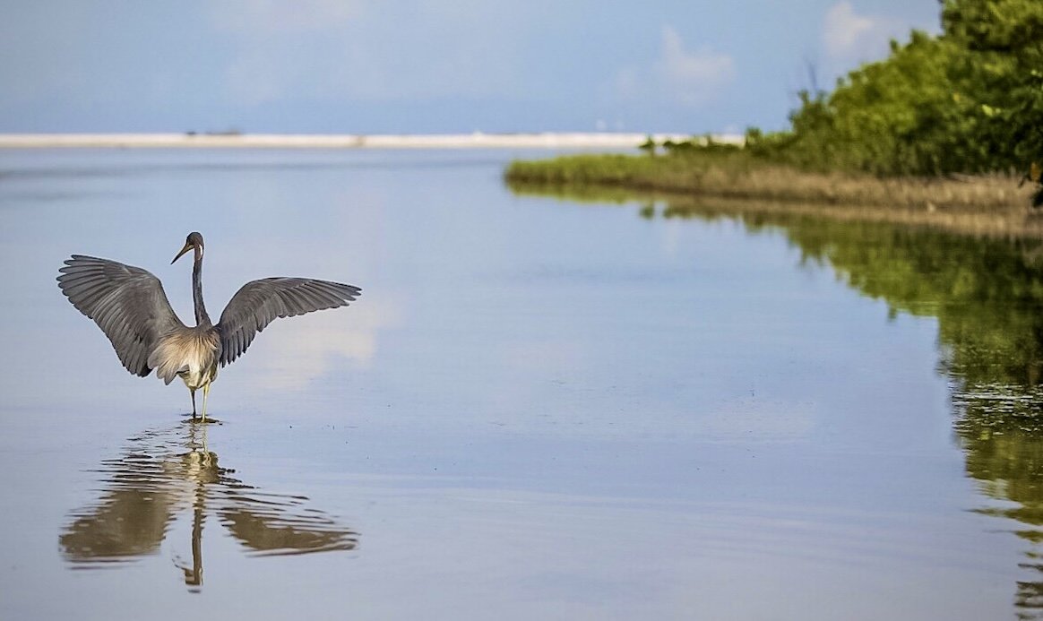 Marco Island, FL Tigertail Beach 41