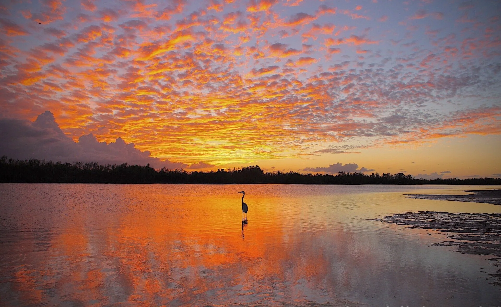 Marco Island, FL Tigertail Beach Sunset 35