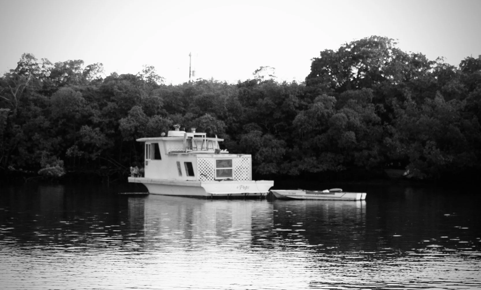 A houseboat with a small rowboat attached, floating on calm water beside a dense, leafy shoreline.