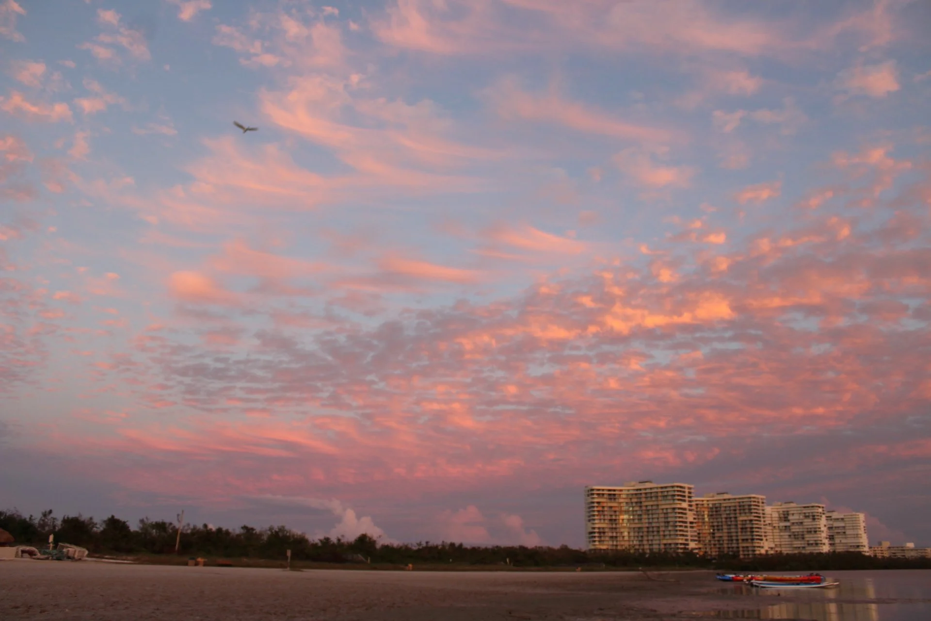 Marco Island, FL Sunset 55