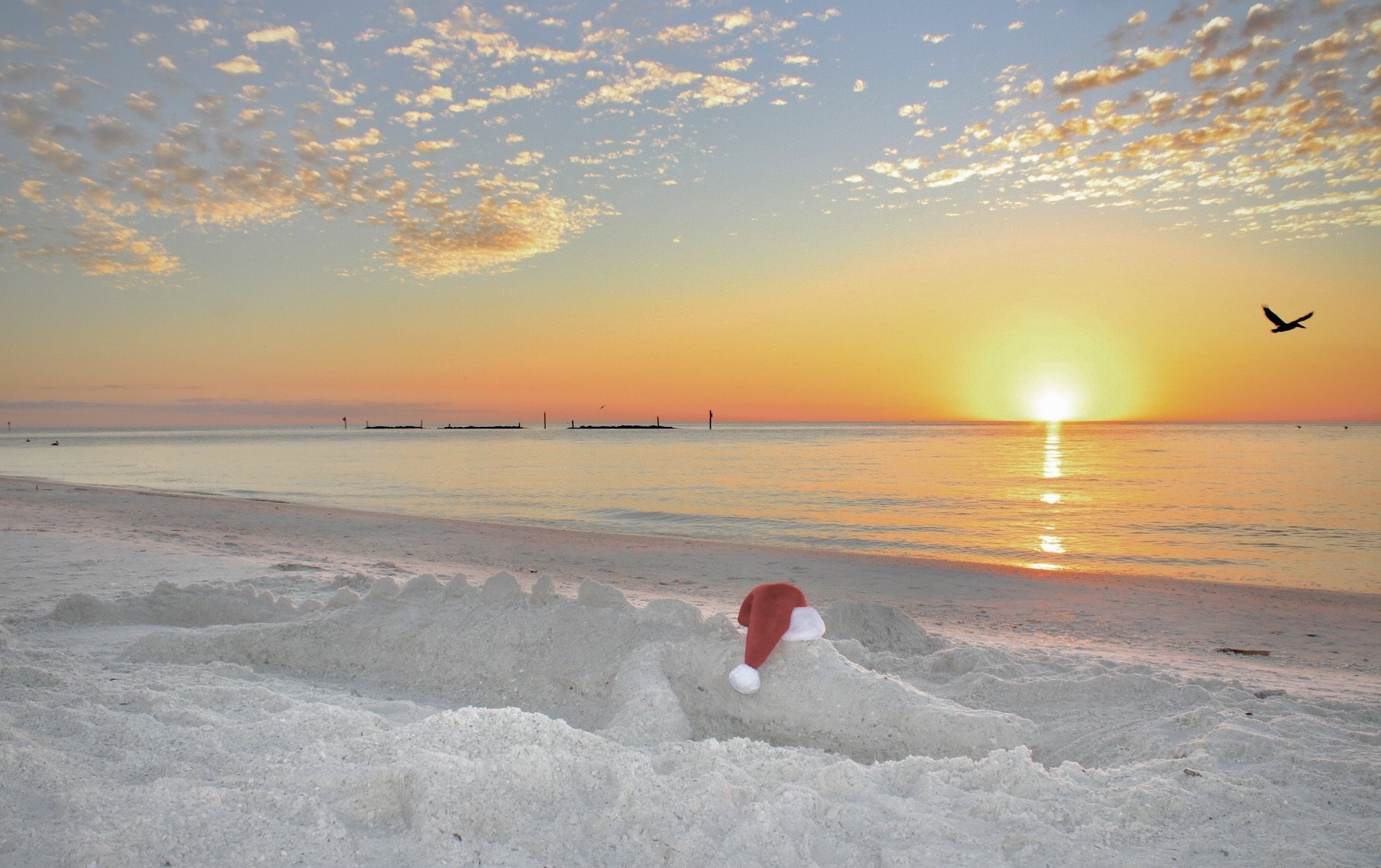 Marco Island, FL South Beach Alligator Sand Sunset 9