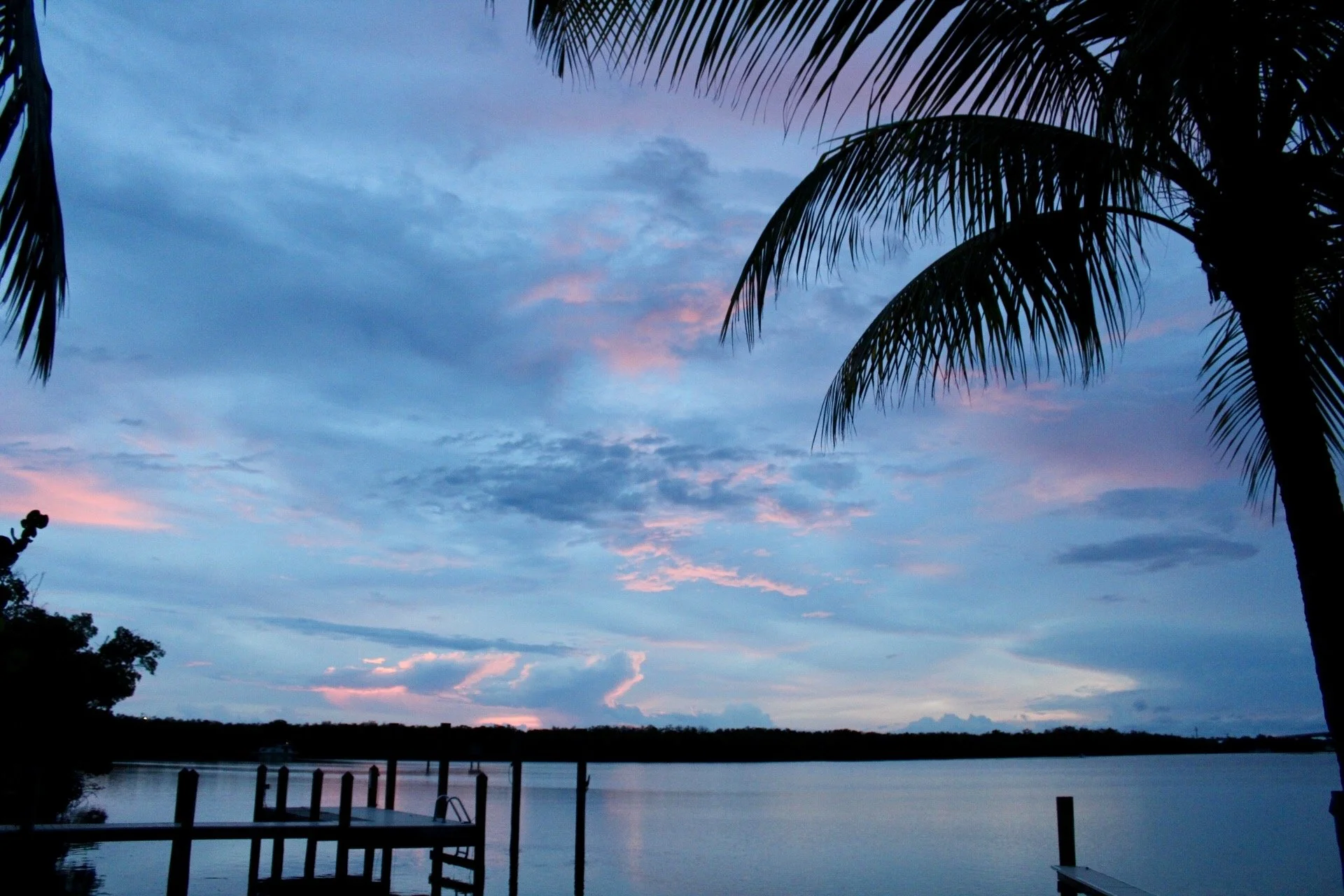 Scenic view of a sunset over a body of water, framed by palm trees and silhouetted trees on the horizon.