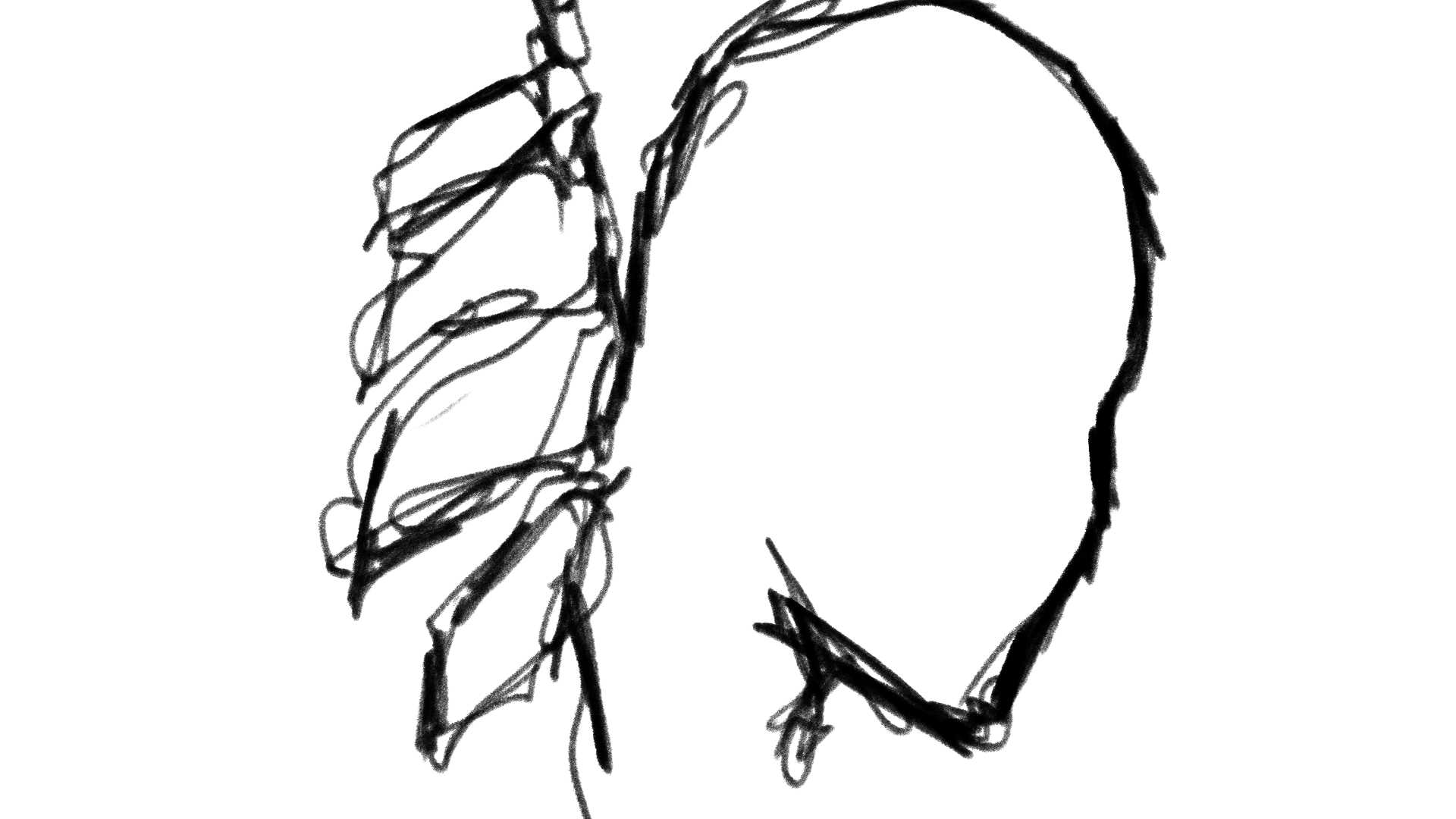 16.png
