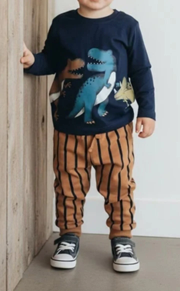 Kids' Dino Delight Outfit