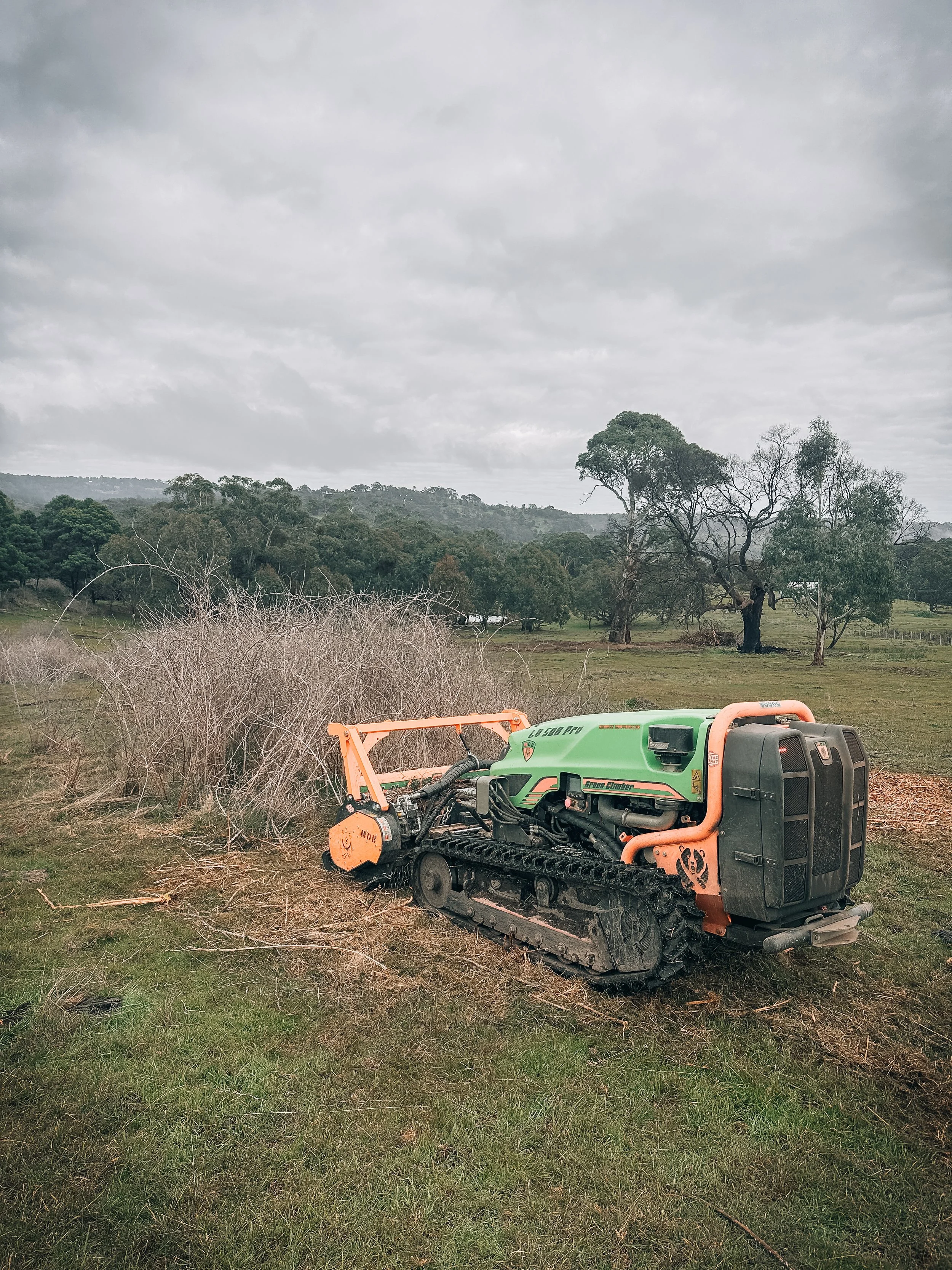 Vegetation Management
