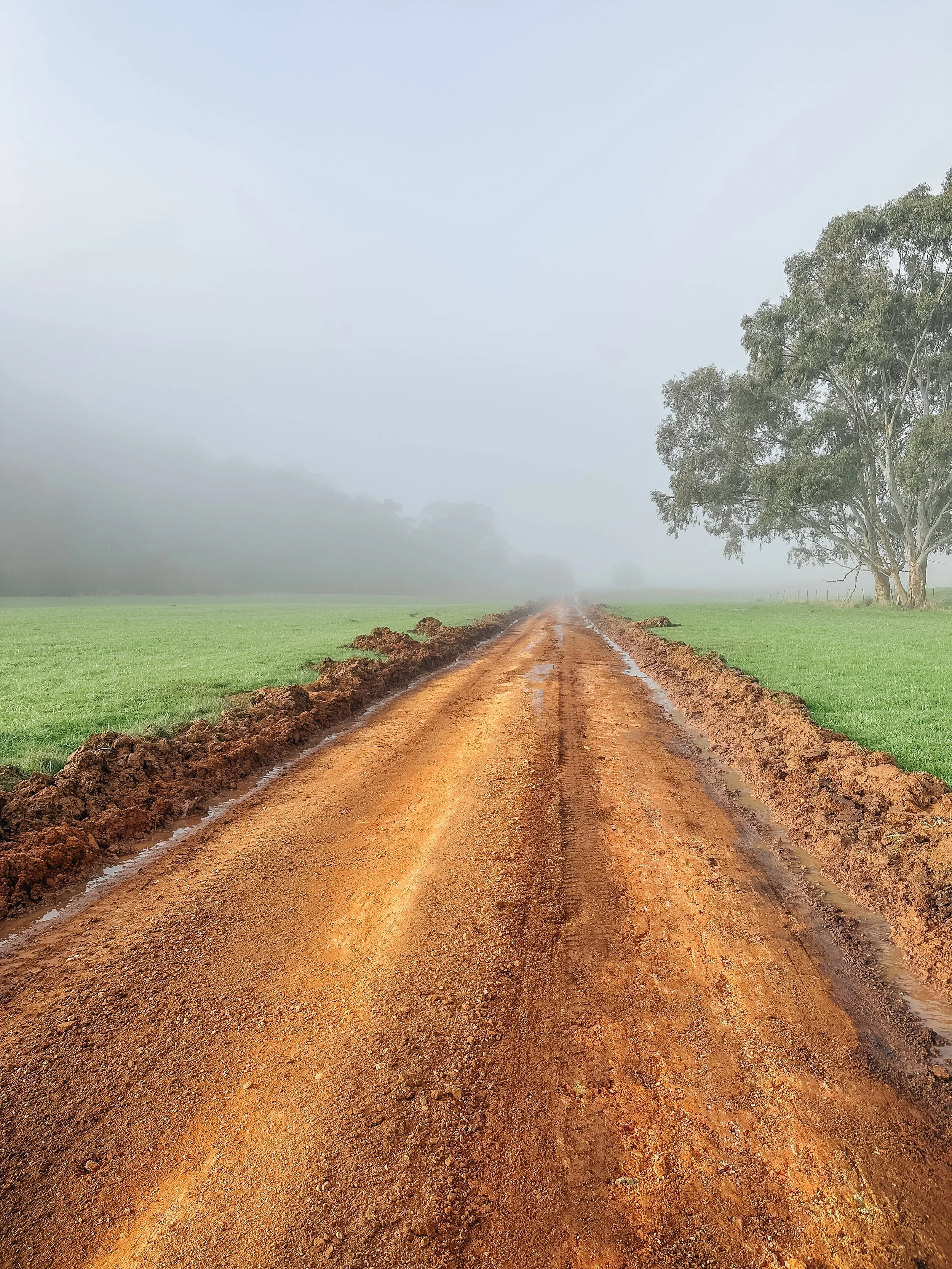 environmental contractor_Central Victoria_ DTE land management (20).jpeg
