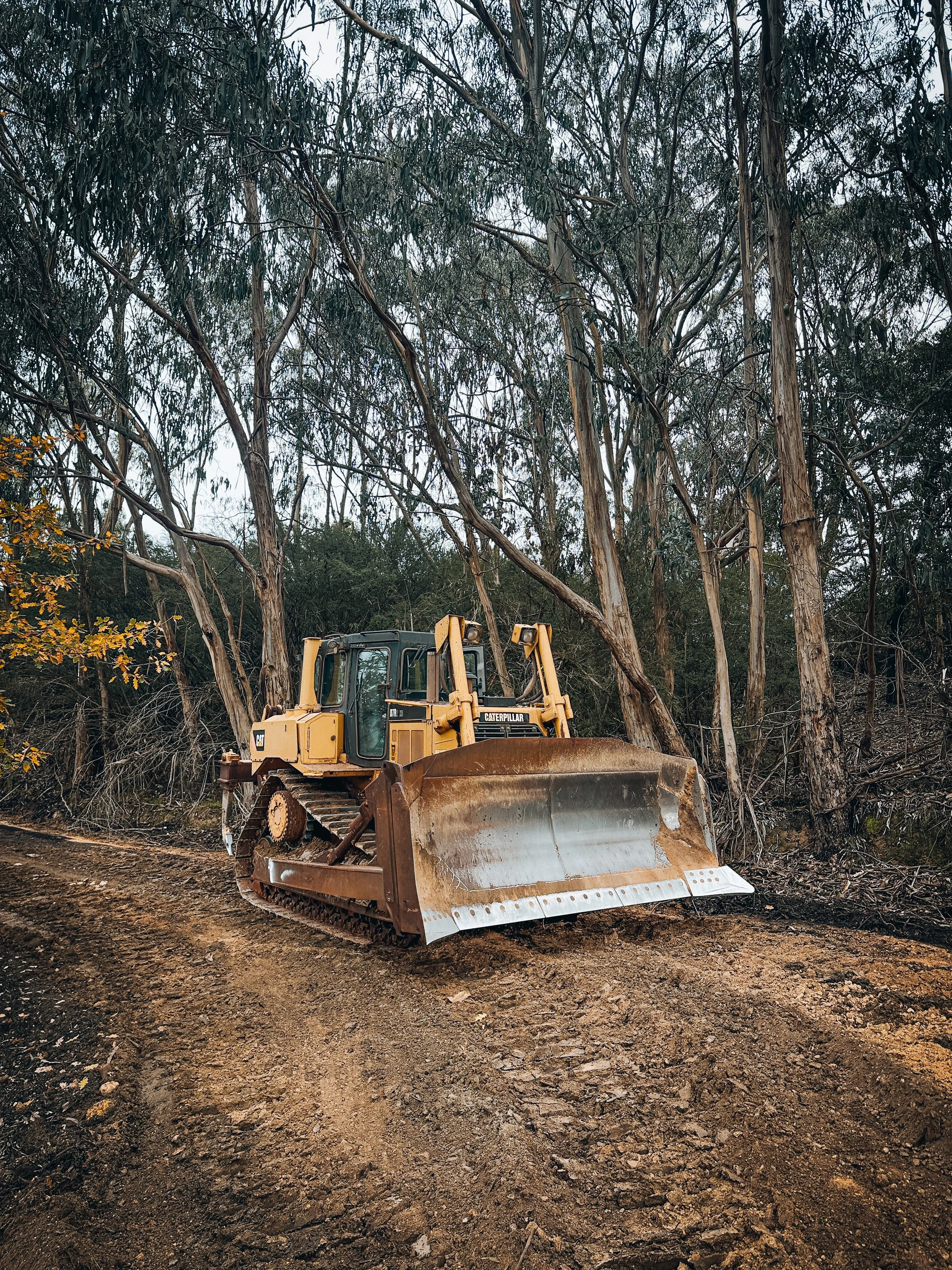 DTE Land Management team working on a dirt path in a forest with tall trees 