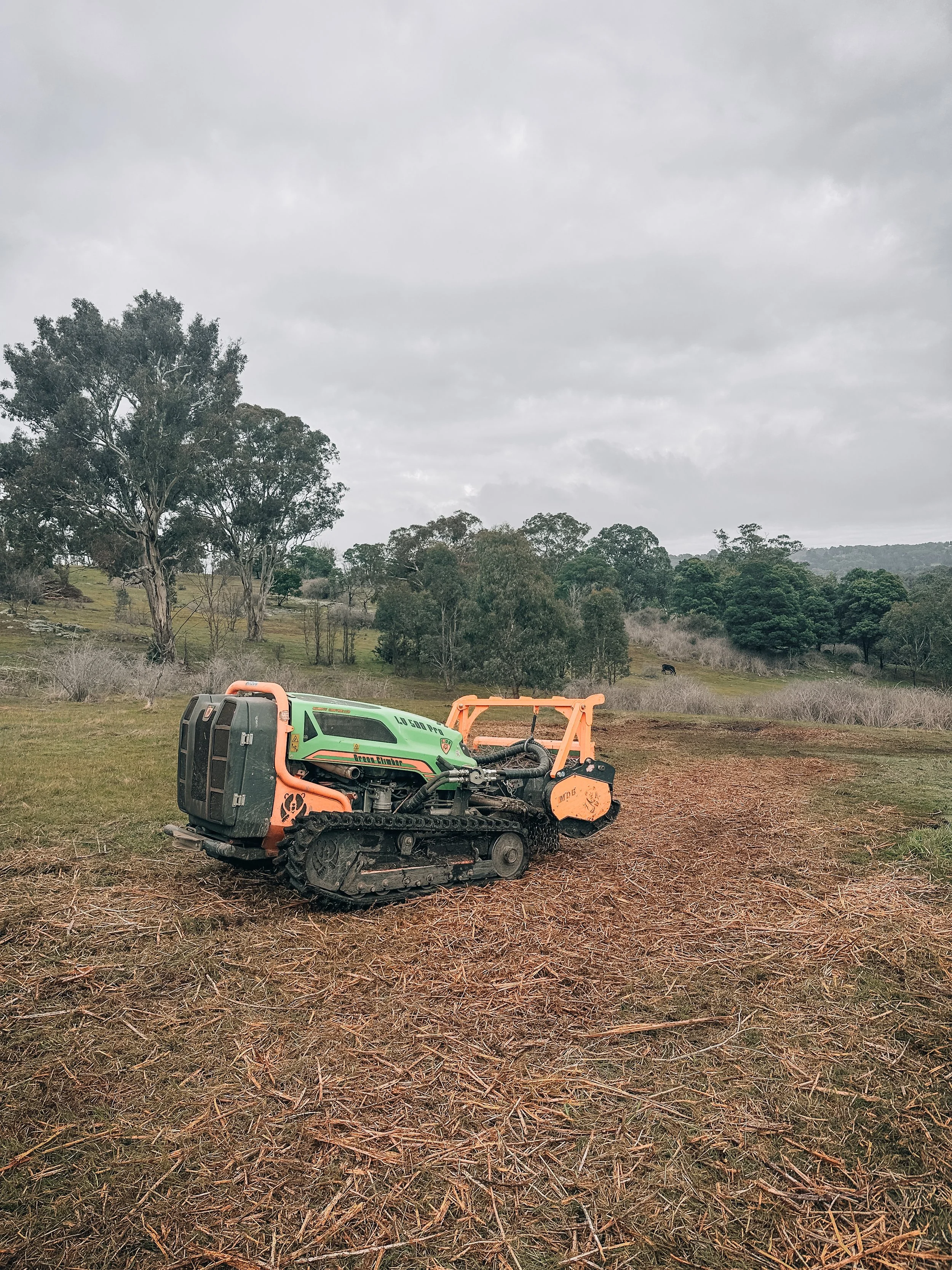 Forestry mulching clearing overgrown land, Central Victoria