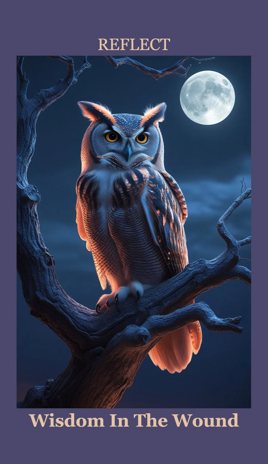 An illustration of an owl sitting on a tree branch under a full moon at night, with the word 'REFLECT' at the top and the phrase 'Wisdom In The Wound' at the bottom.