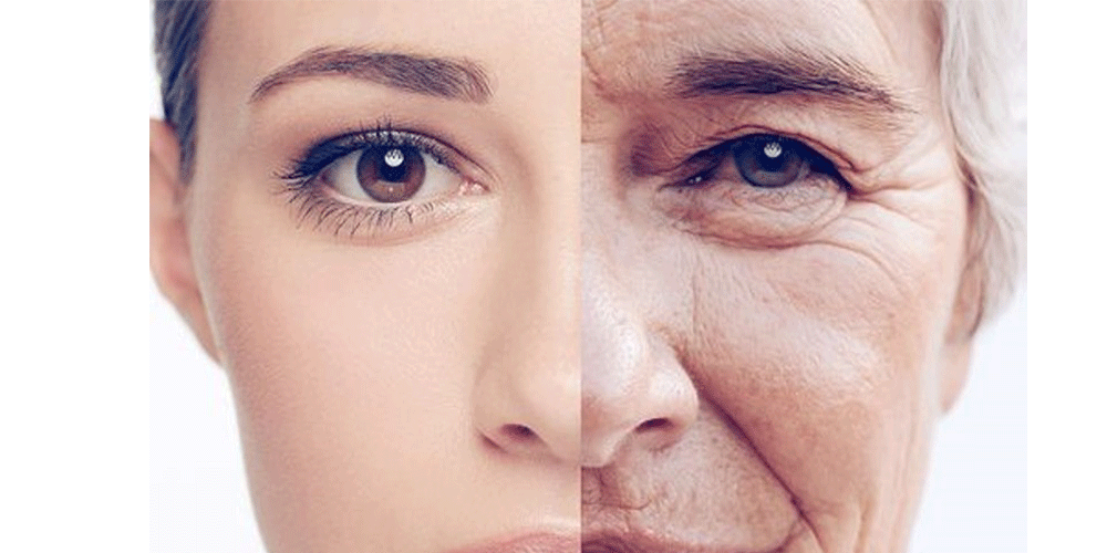Collagen Loss and Aging Skin