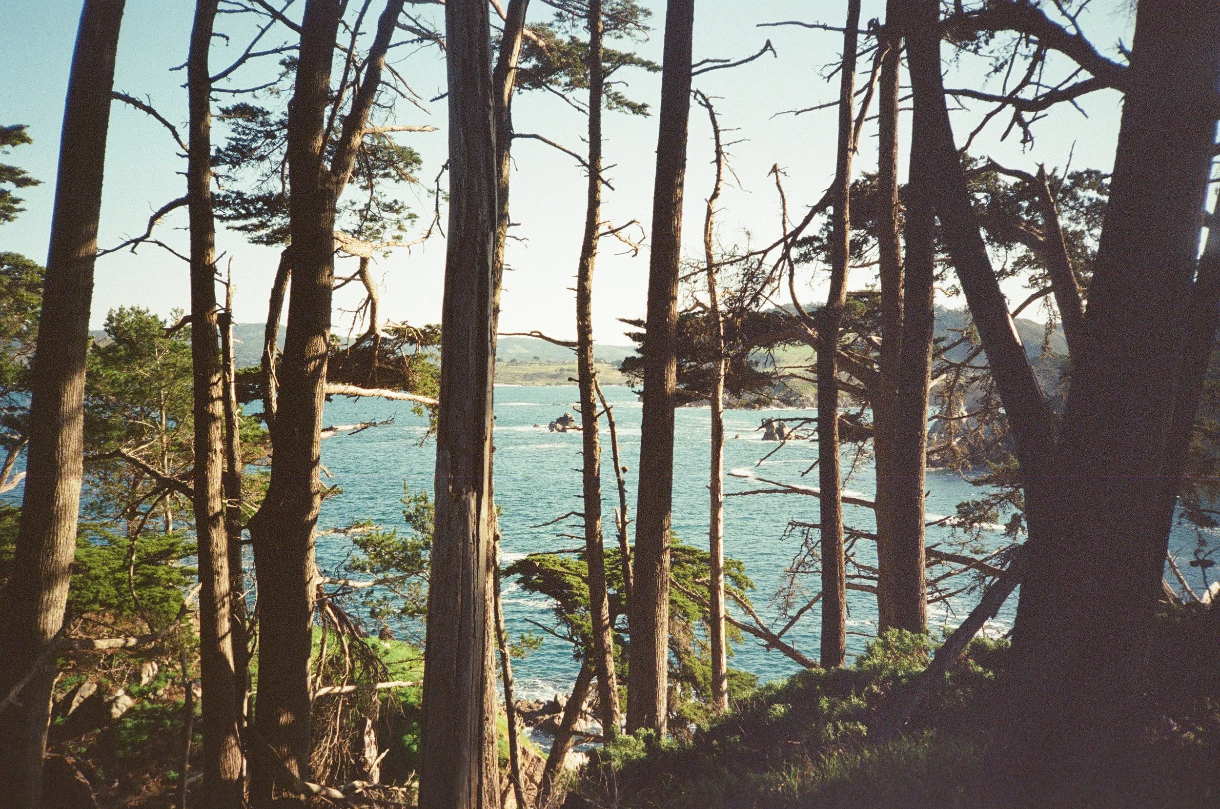 IMG_5877.JPG