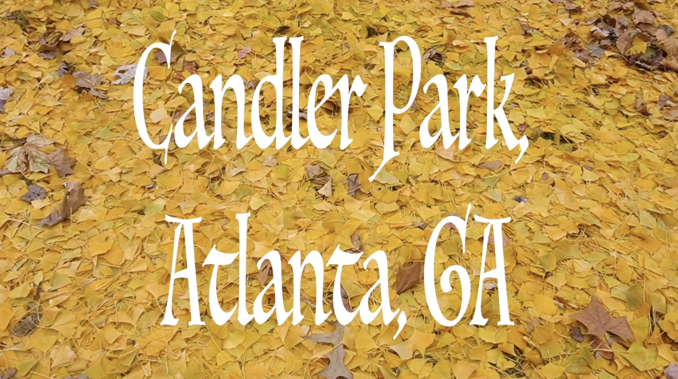 Final project for Georgia Tech Contemporary American Independent Filmmakers course