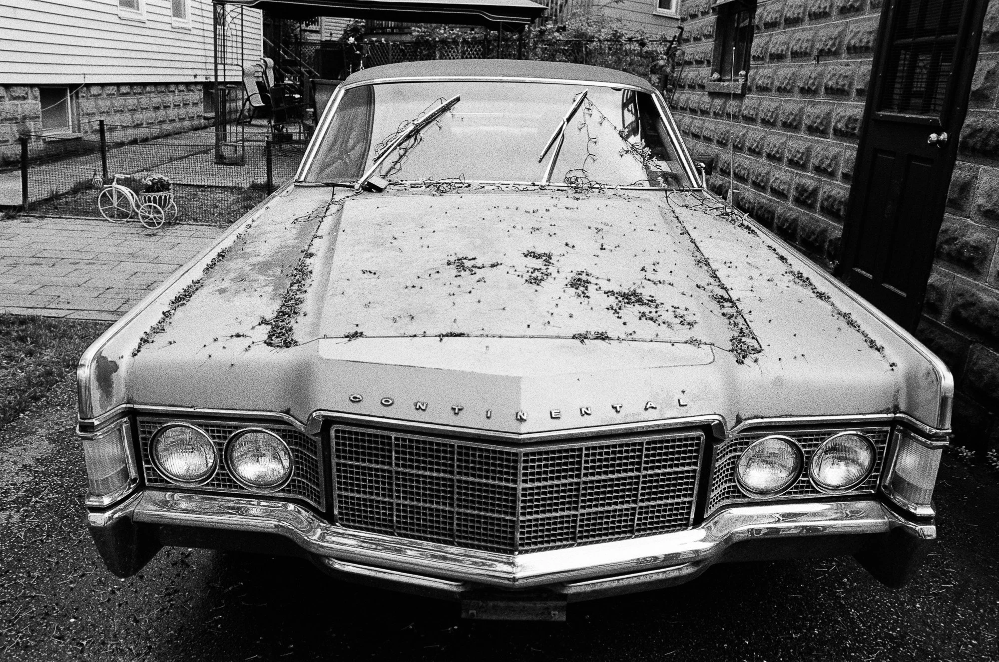 Black and white photo of an old Cadillac parked outdoors. The car's hood and front windshield are covered with dead leaves and vines. The Cadillac's front grille and headlights are visible.