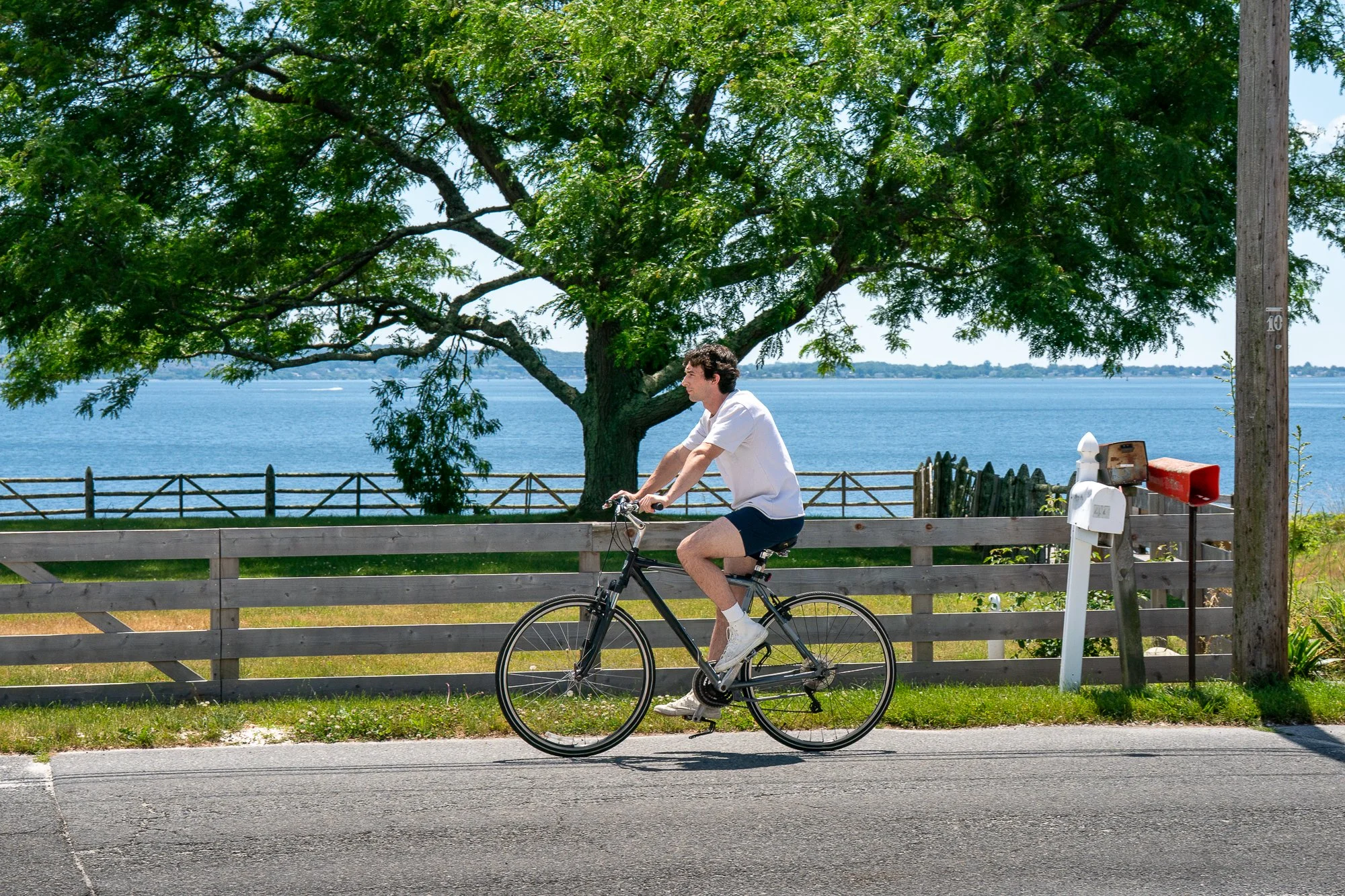 A man cycling on a path beside a body of water under a large leafy tree, with a wooden fence and a mailbox nearby.