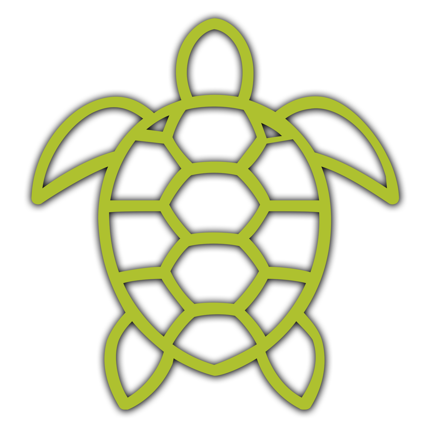 Turtle Clan Lenape