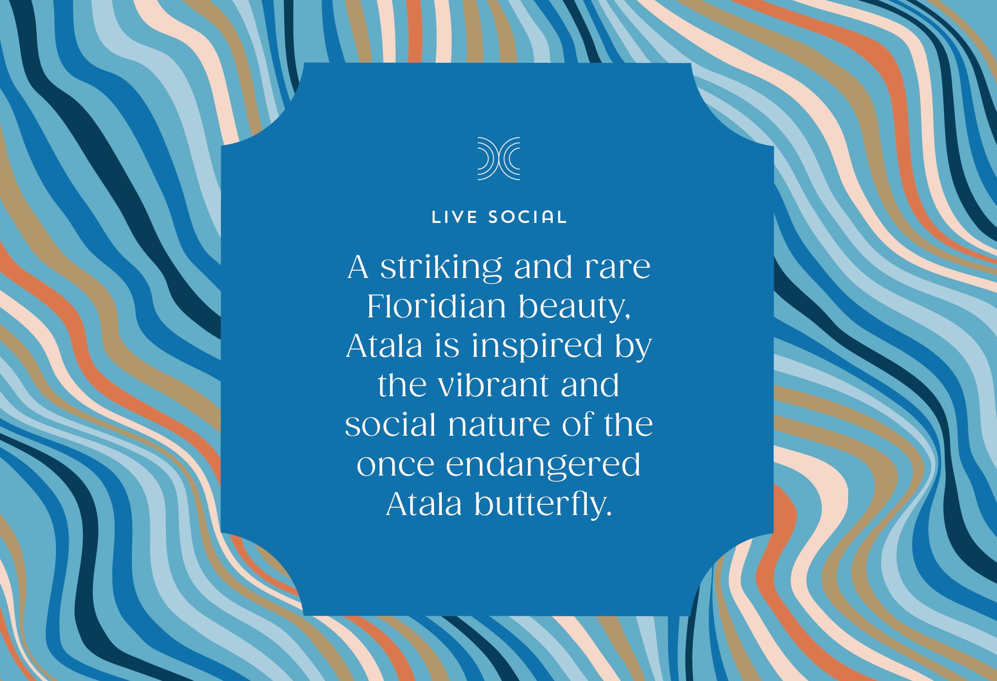 Atala-05.jpg