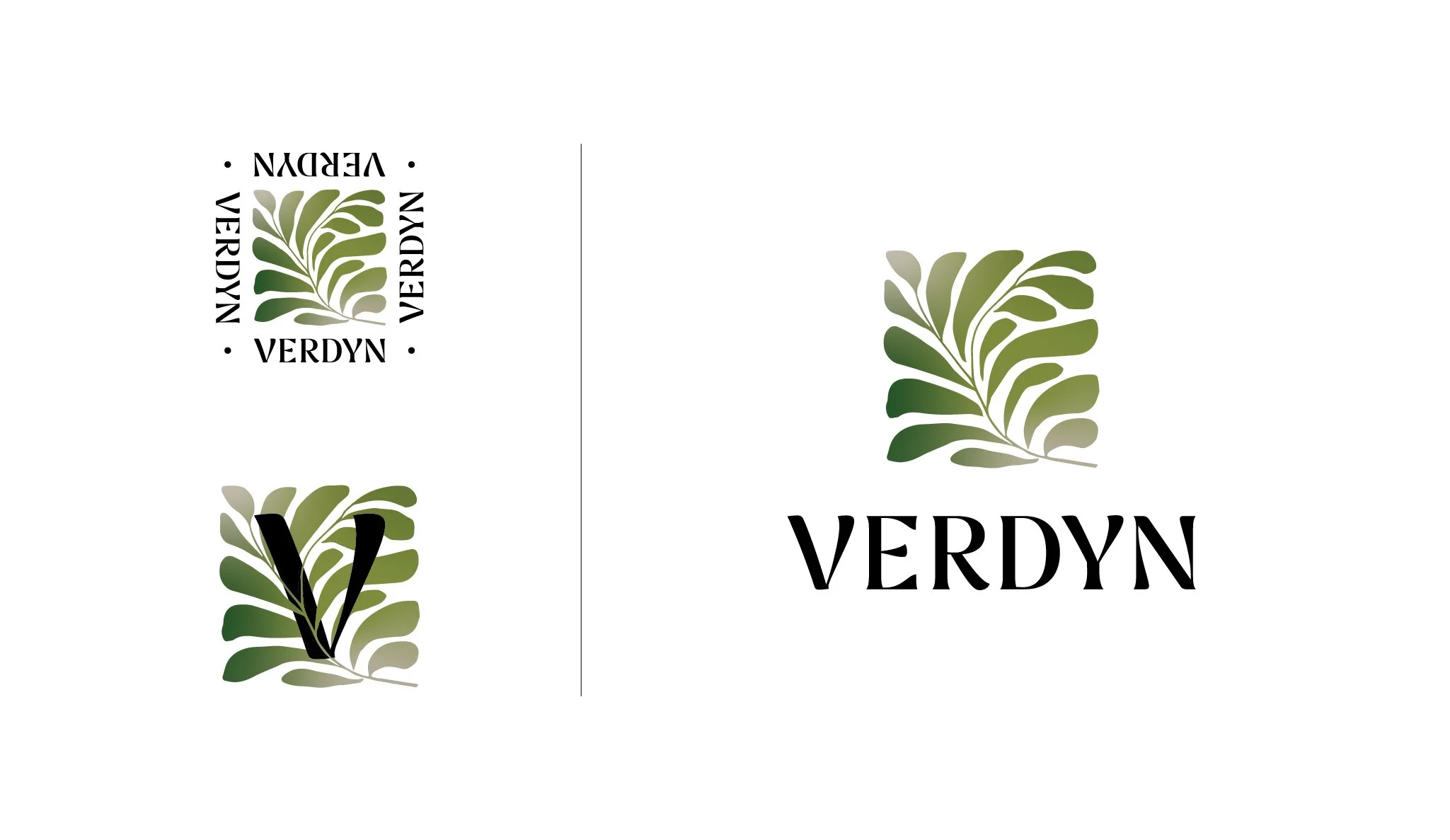 Verdyn-01.jpg