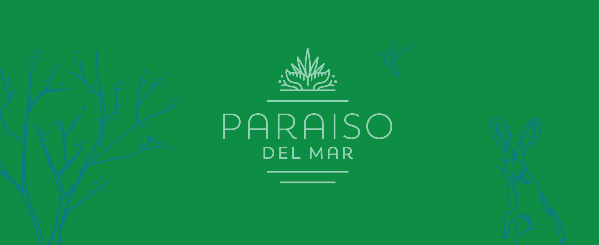 Paraiso_Brand-01.jpg