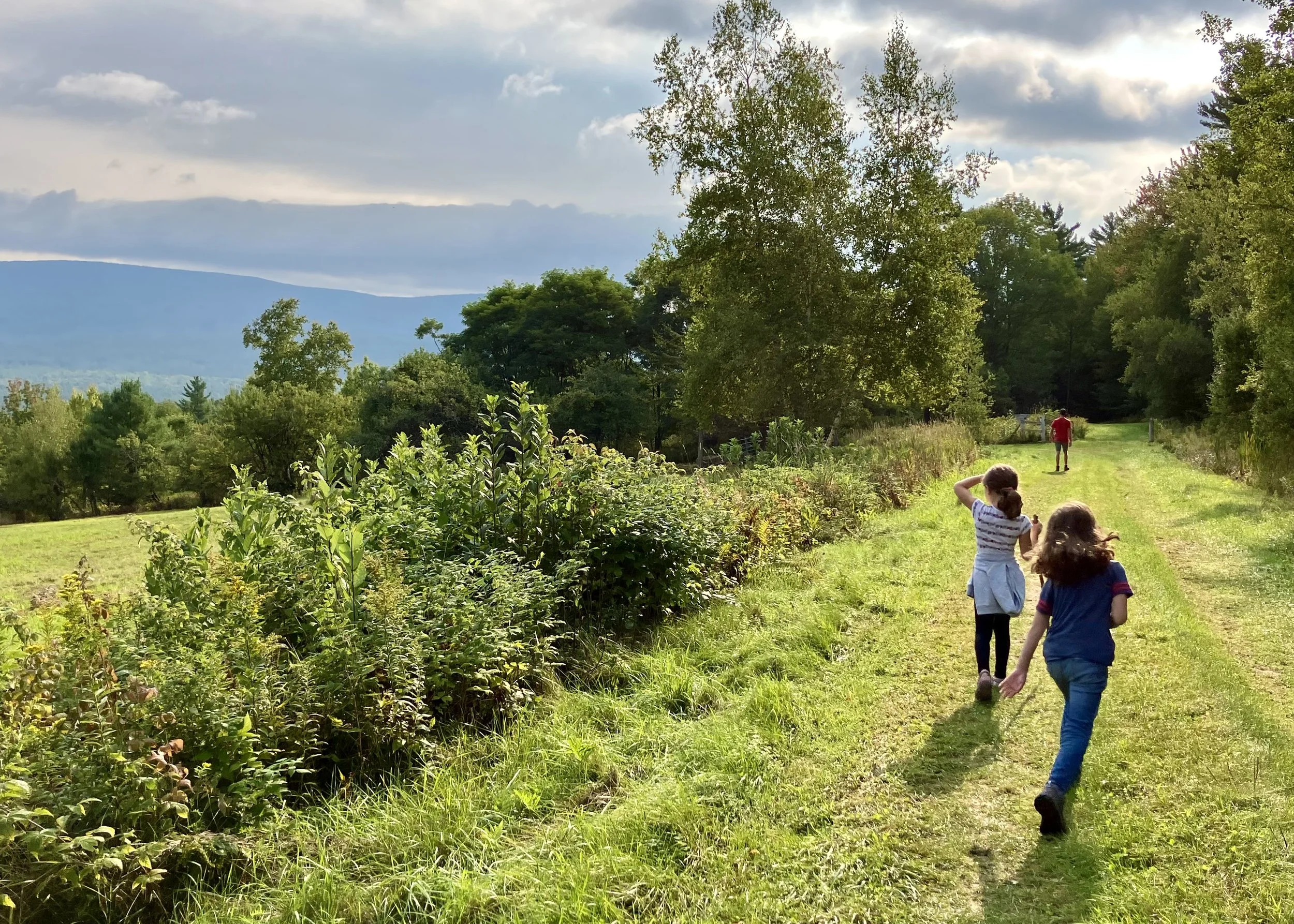 Children walking along a grassy trail in a lush green wooded area with mountains in the background on a partly cloudy day.