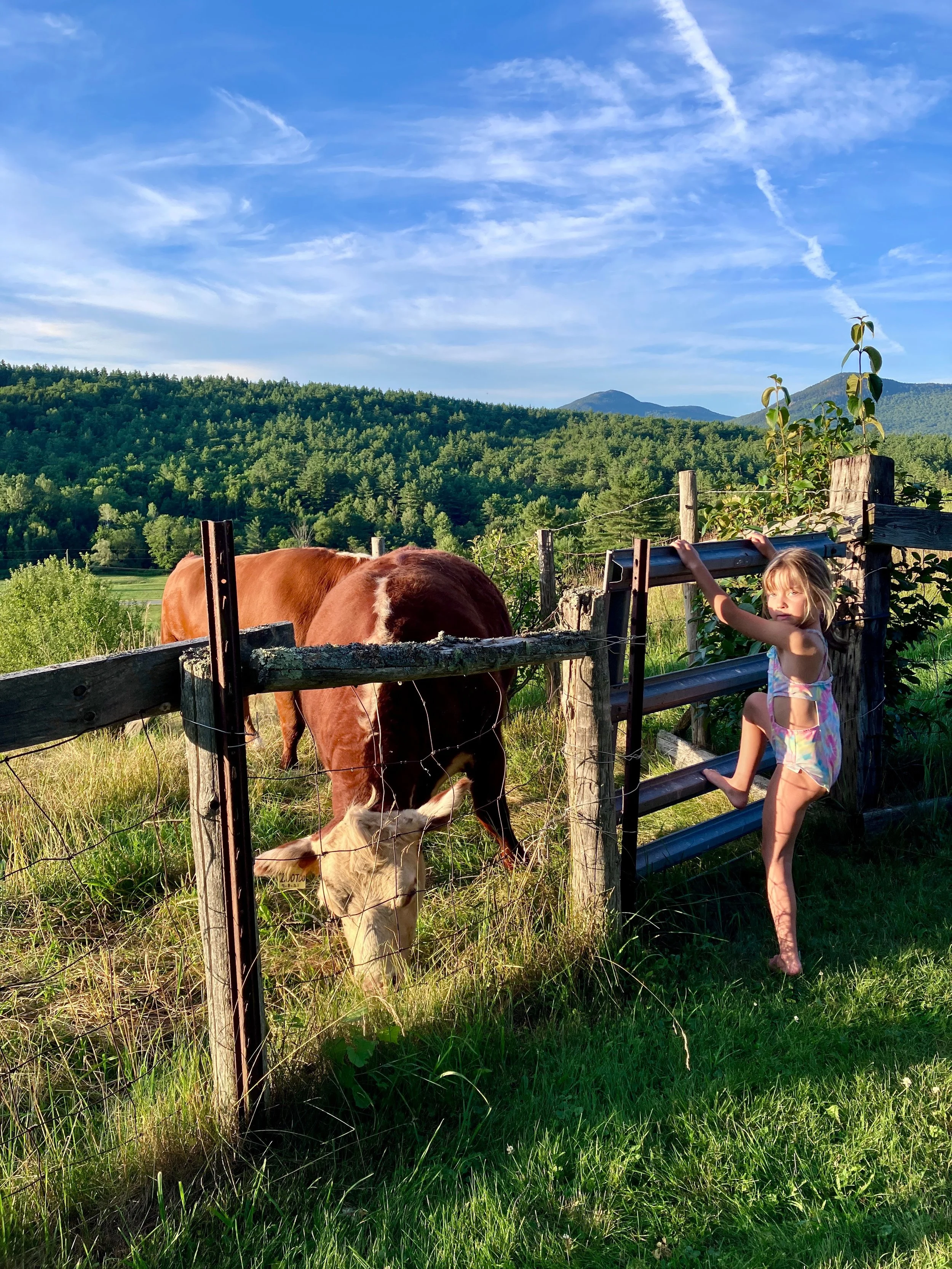 Young girl in colorful pajamas standing beside wooden and metal farm fence, reaching toward a brown cow and a white calf with yellow ear tags, with lush green rolling hills and mountains under a blue sky with wispy clouds in the background.