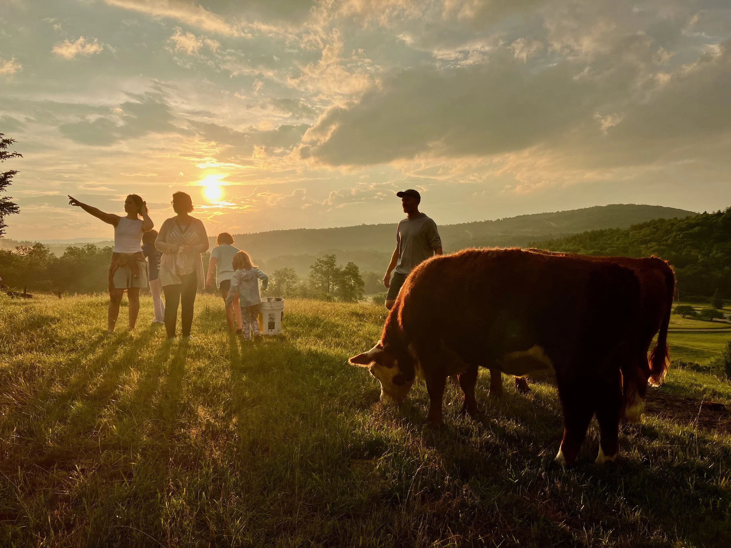 People walking in a field during sunset, with a person pointing and a few children, surrounded by trees and hills.