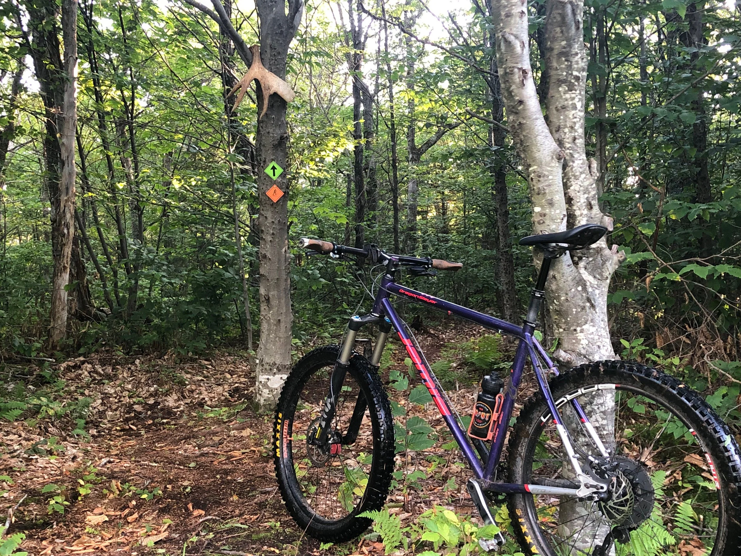 A mountain bike in a wooded forest area with trees and green foliage. A small trail sign with a black arrow pointing upward, and an orange trail marker. Part of the bike's seat and front wheel are visible.