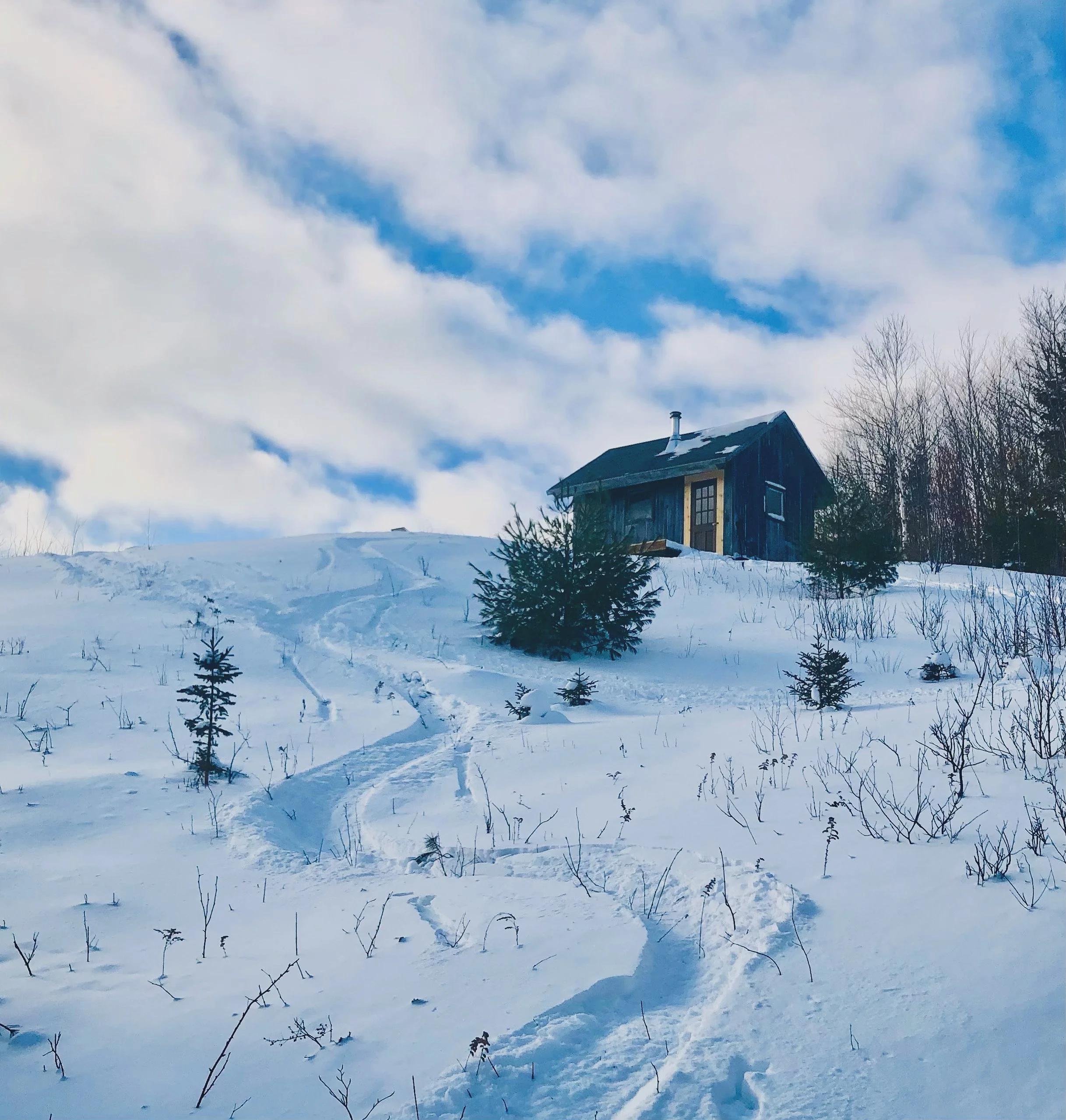 A snowy landscape with a blue house, leafless trees, and footprints in the snow under a partly cloudy sky.