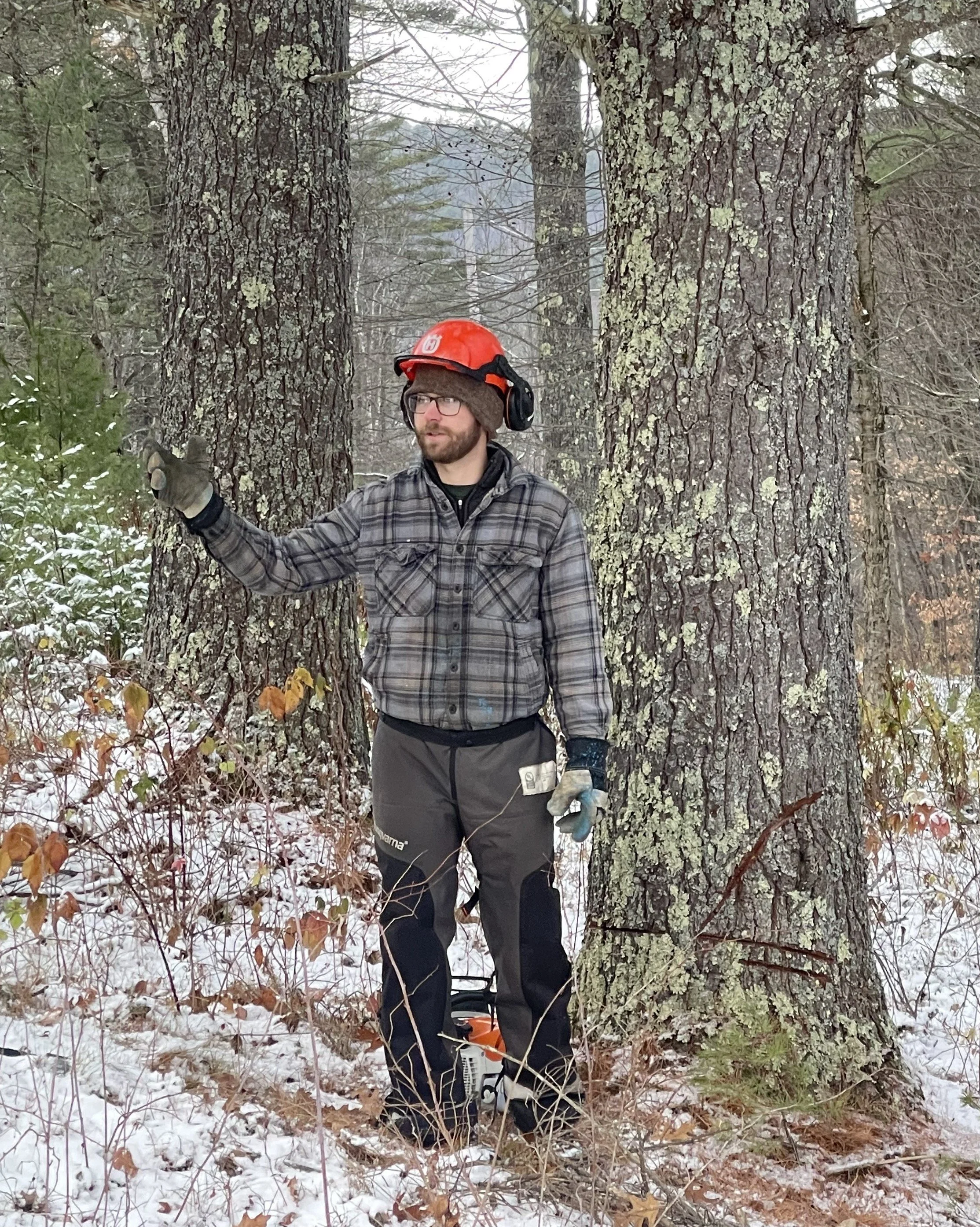 A man wearing a red helmet, glasses, a plaid jacket, and outdoor work gloves standing in a snowy forest, leaning against a tree, with trees and snow-covered ground in the background.