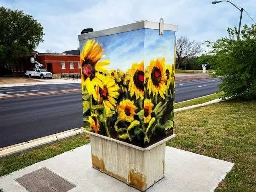 Utility Box Covers