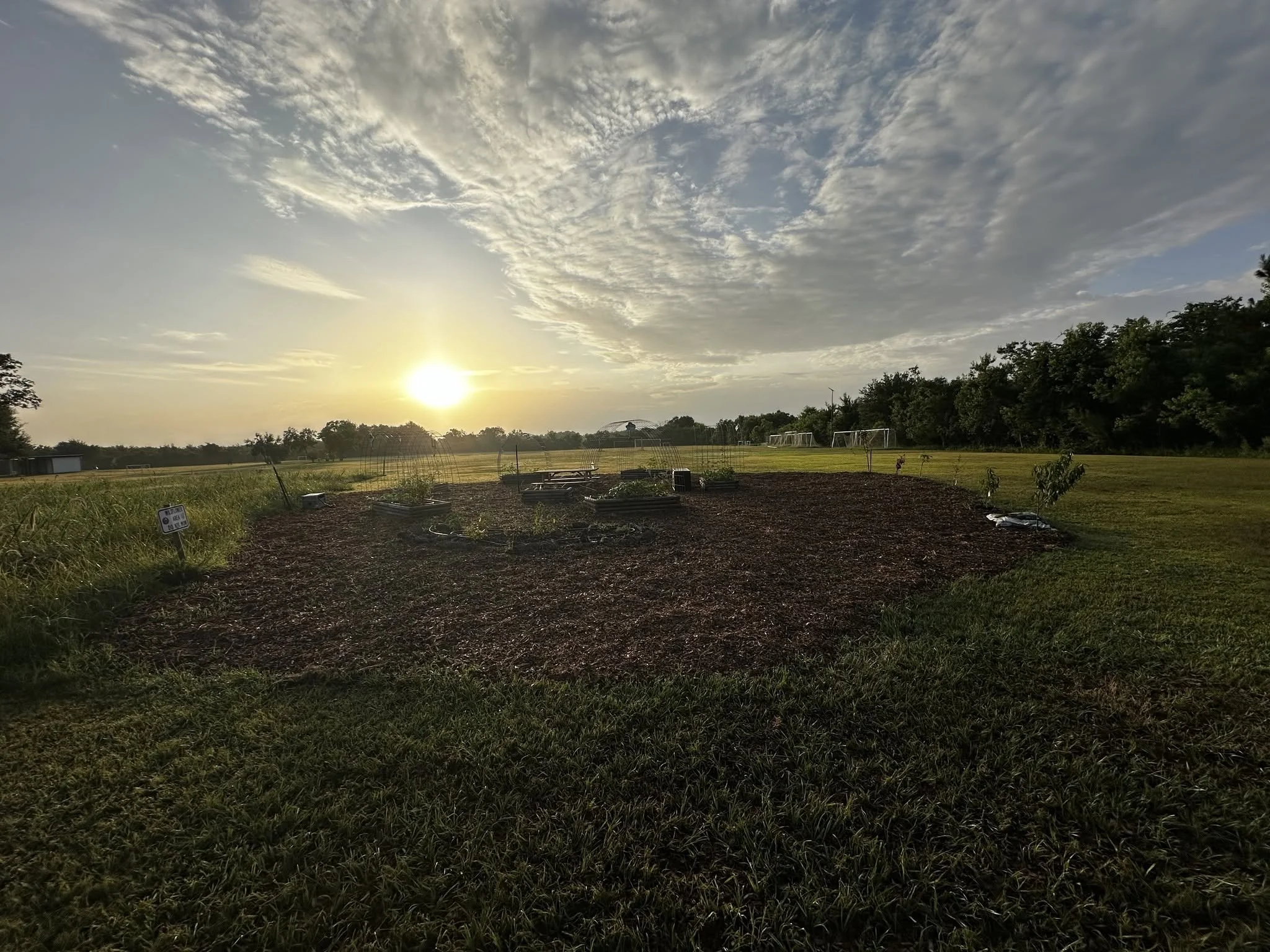 Community Garden