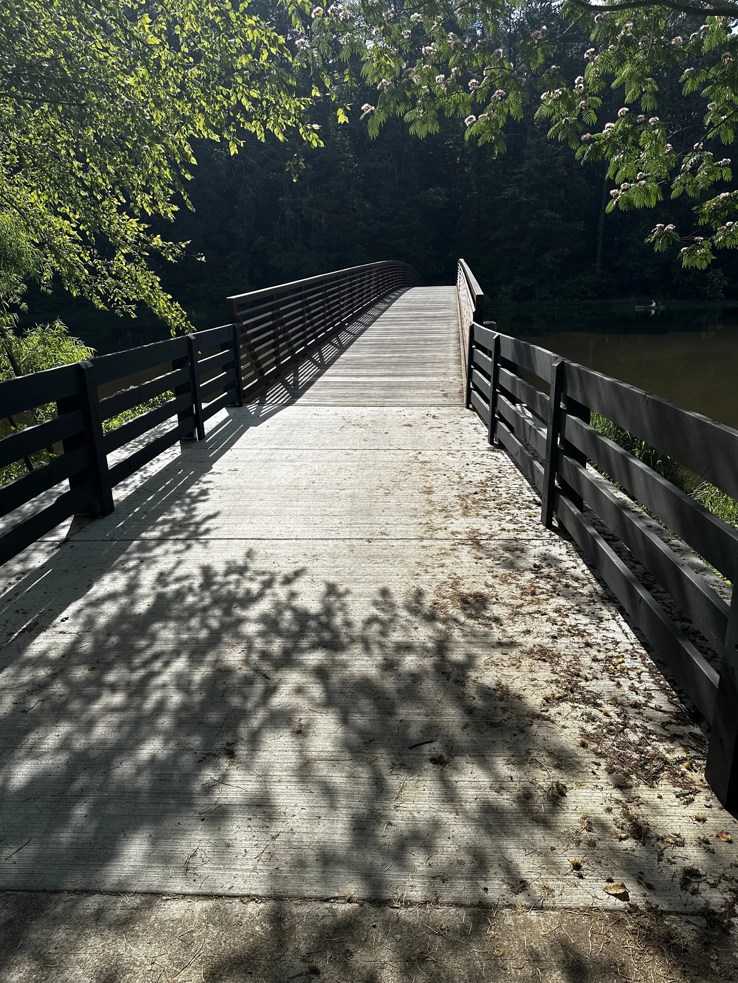 A wooden bridge with black railings extending over a body of water, surrounded by lush green trees, with sunlight creating shadows on the bridge and the water at Lake Acworth, GA.