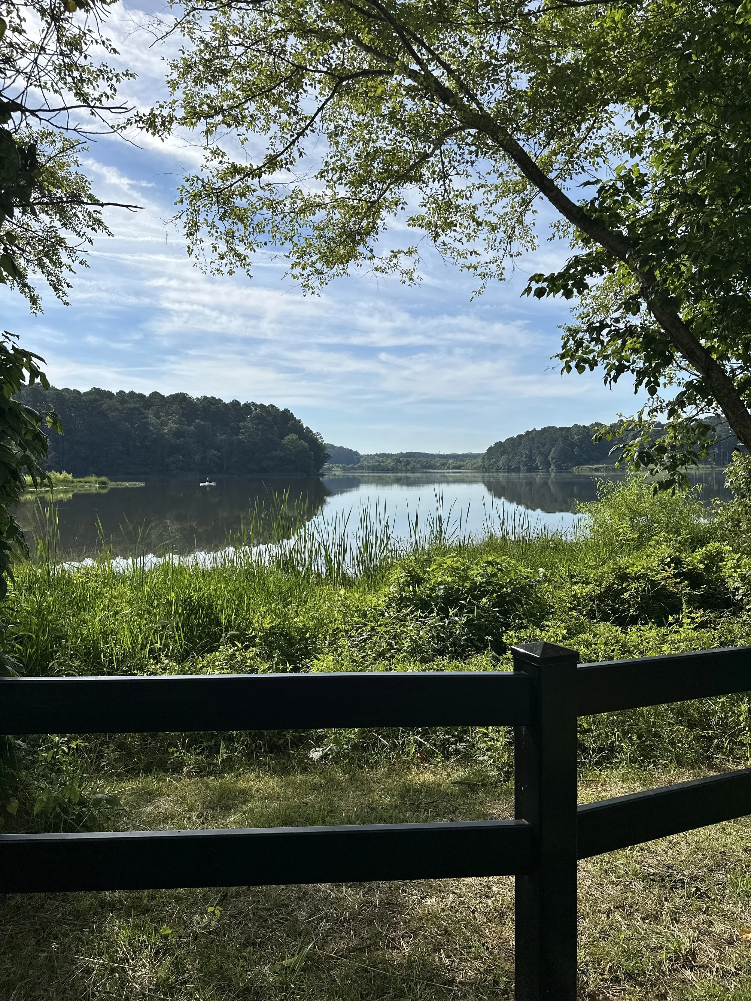 A lakeside scene with calm water, green trees on both sides, grass in the foreground, and a boat floating in the distance under a partly cloudy sky in front of Lake Allatoona in Acworth's Cauble Park.