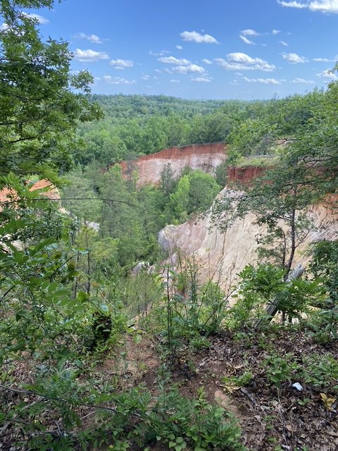A view of a forested landscape with cliffs and a cloudy blue sky at Providence Canyon State Park, GA.