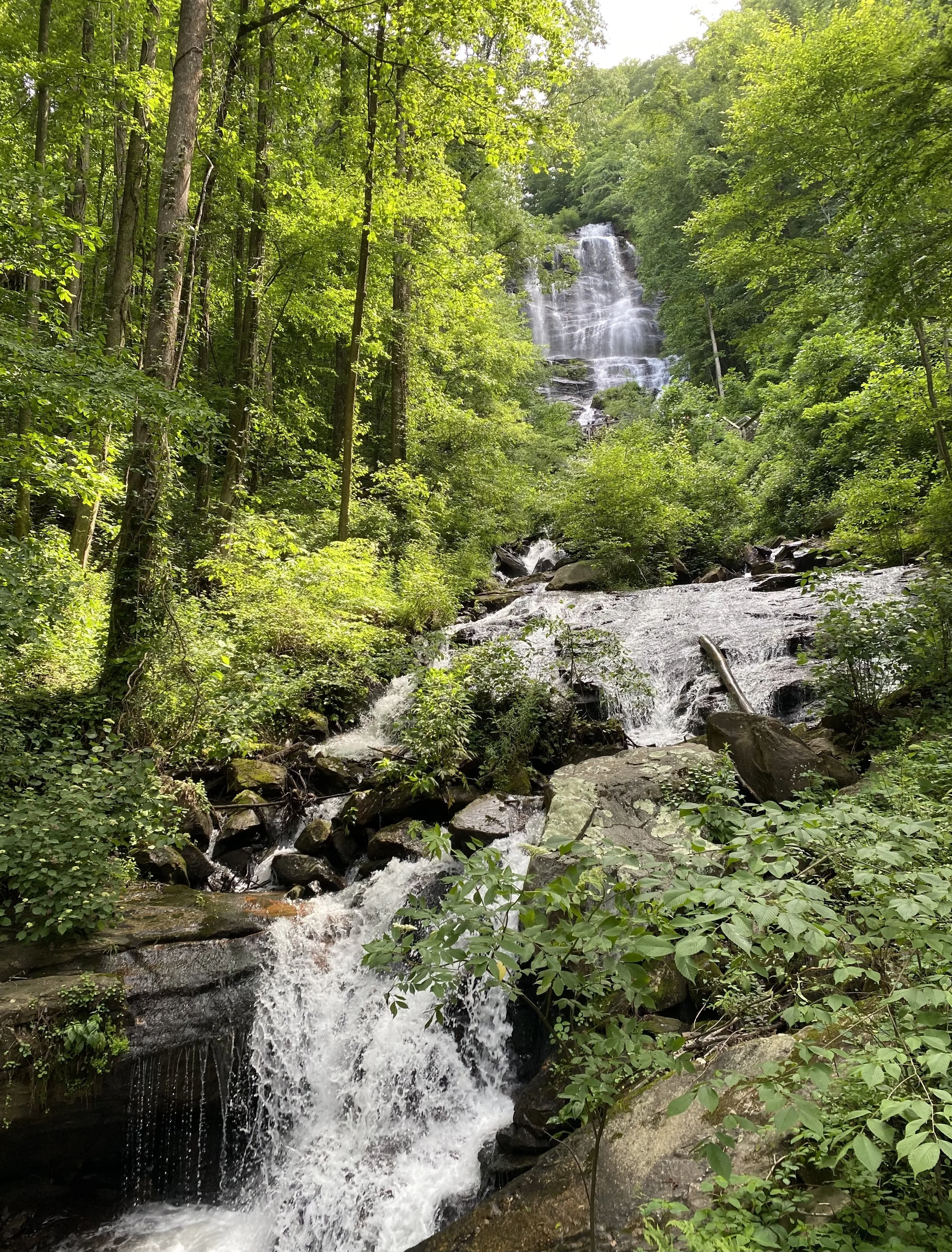 A lush green forest with a cascading waterfall flowing over rocks into a stream surrounded by dense foliage at Amicalola Falls State Park in Dawsonville, GA.