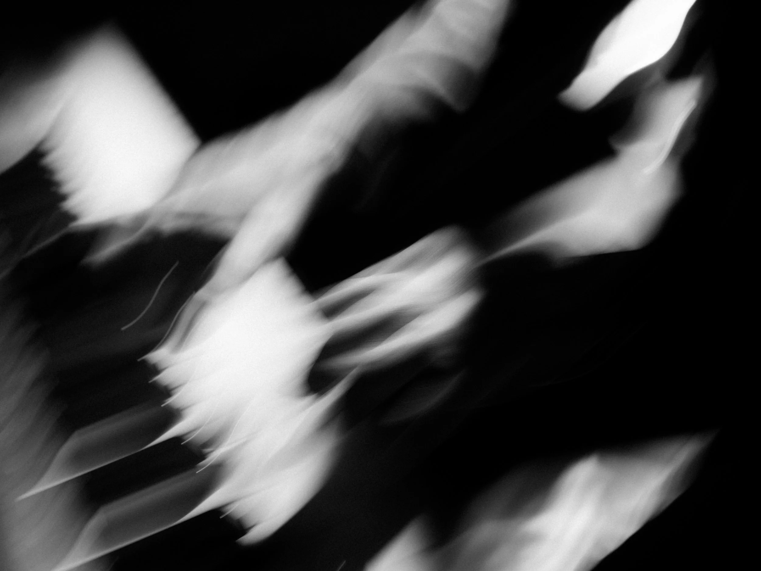 DSC01968.jpeg