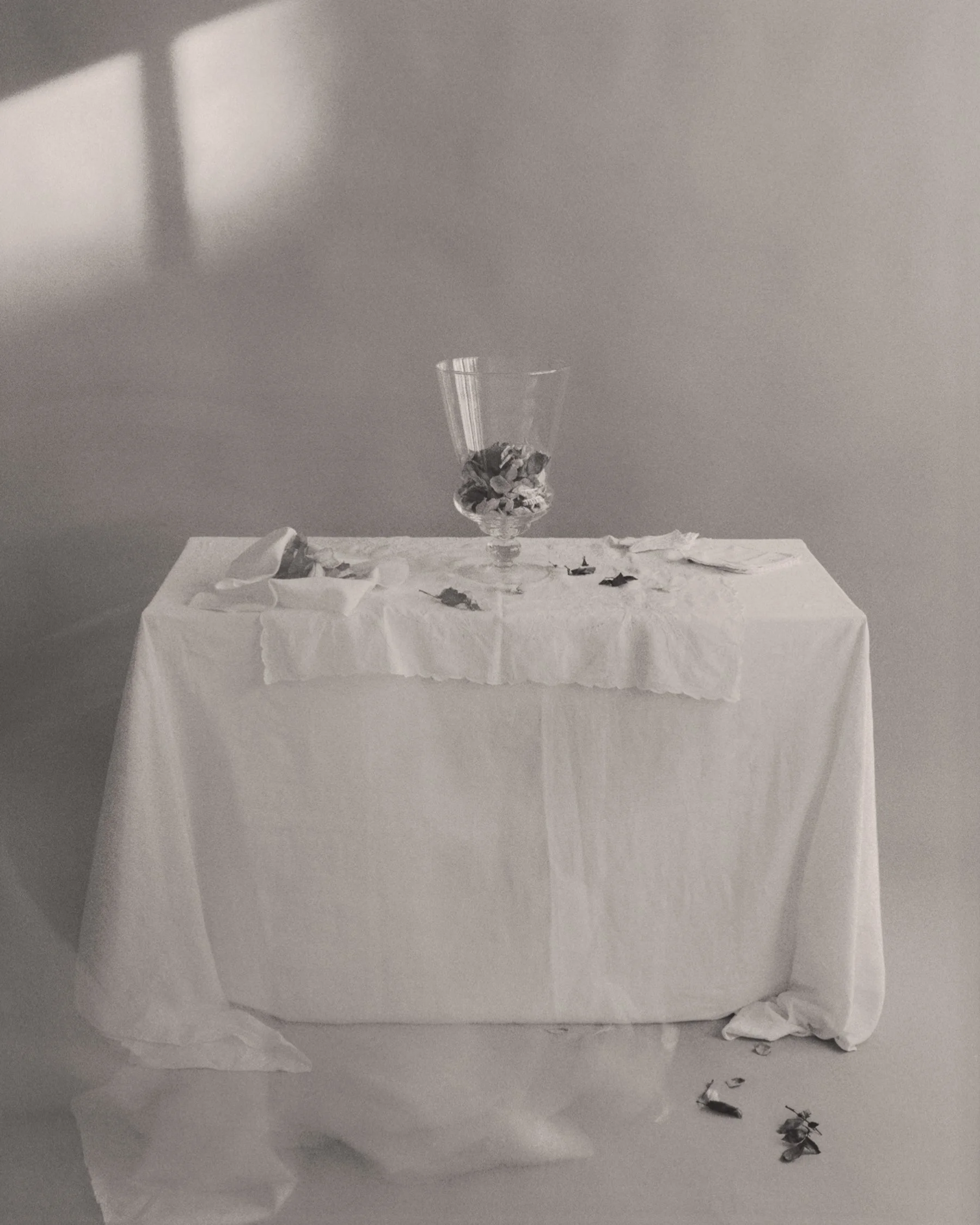 01-8587-re-edit-.jpg