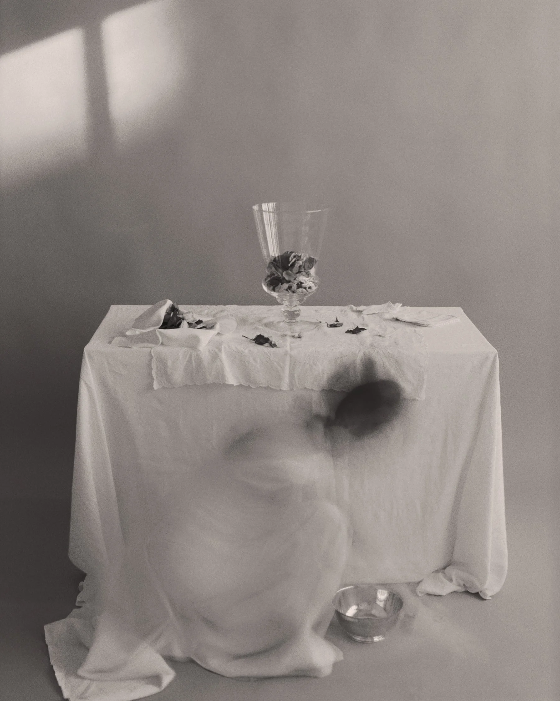 02-8587-re-edit-.jpg