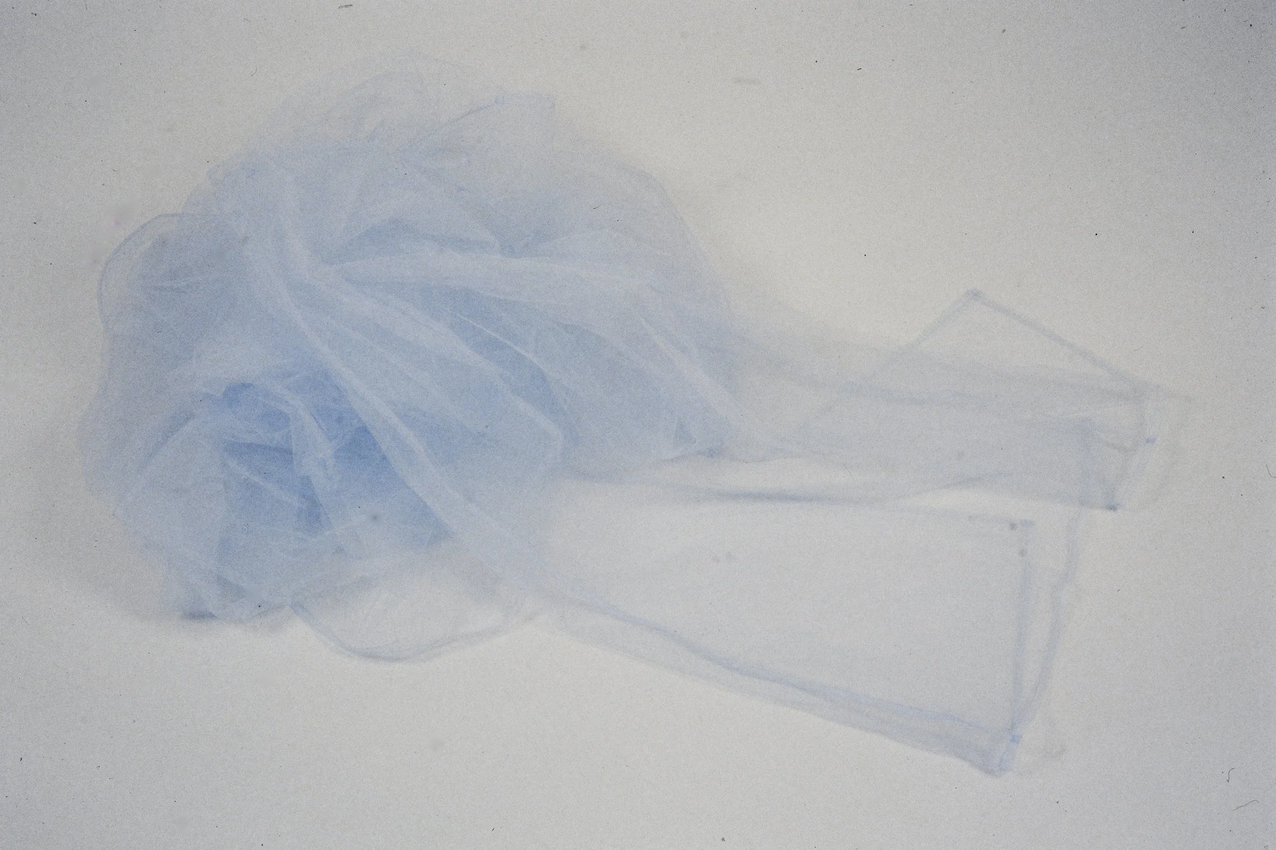 Tulle Garment 0798.JPG