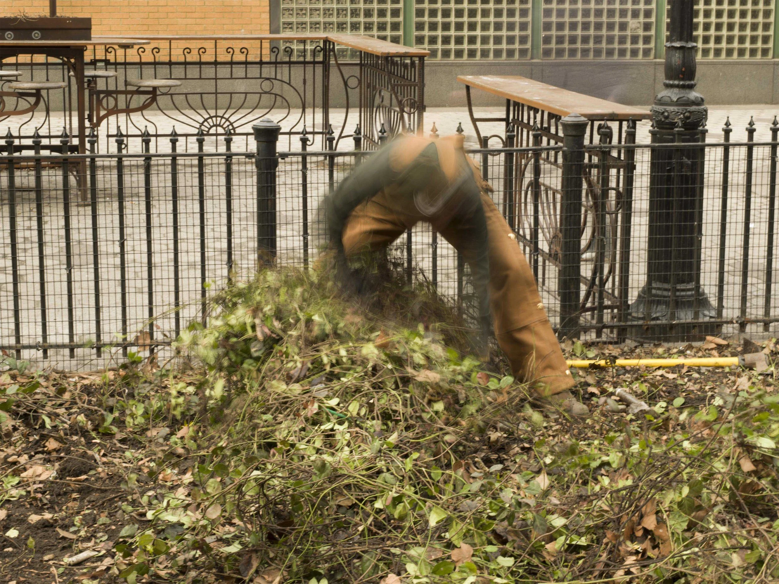 06-A6549424-Ada and the Creeper-lr.jpg