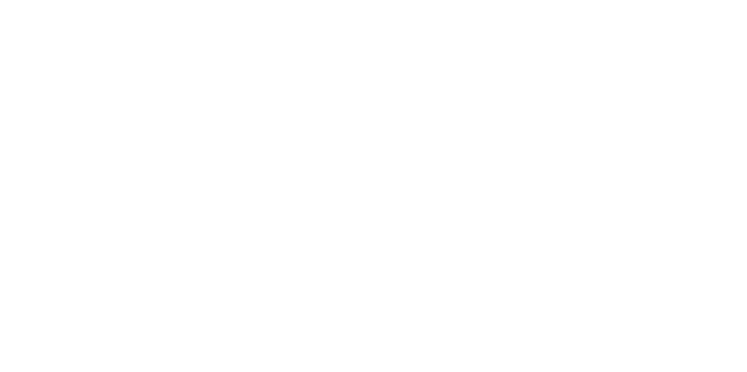 Aleya Lehmann